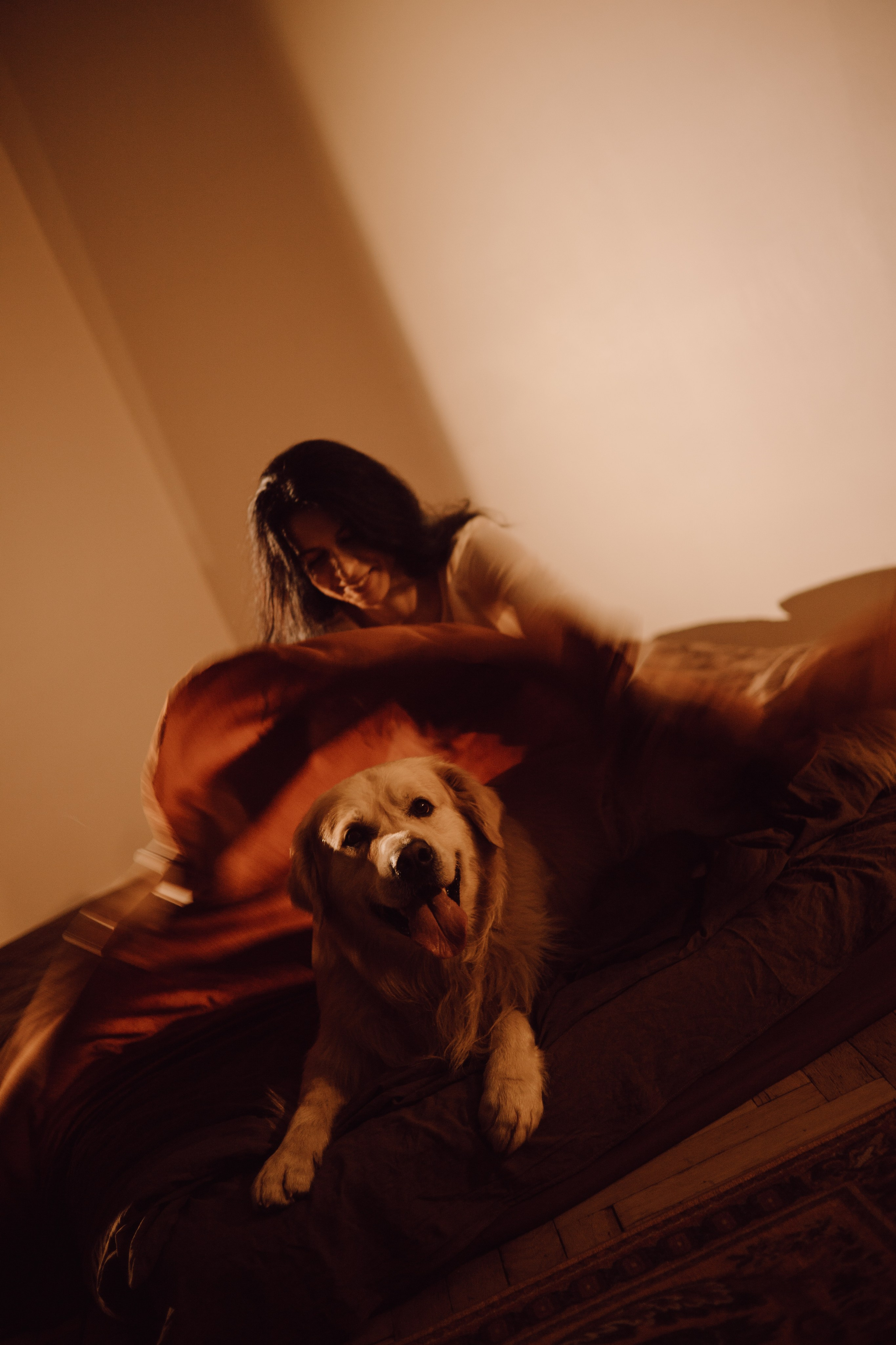 Лёва и его семья. Фотограф — анималист •love-story•|Санкт-Петербург