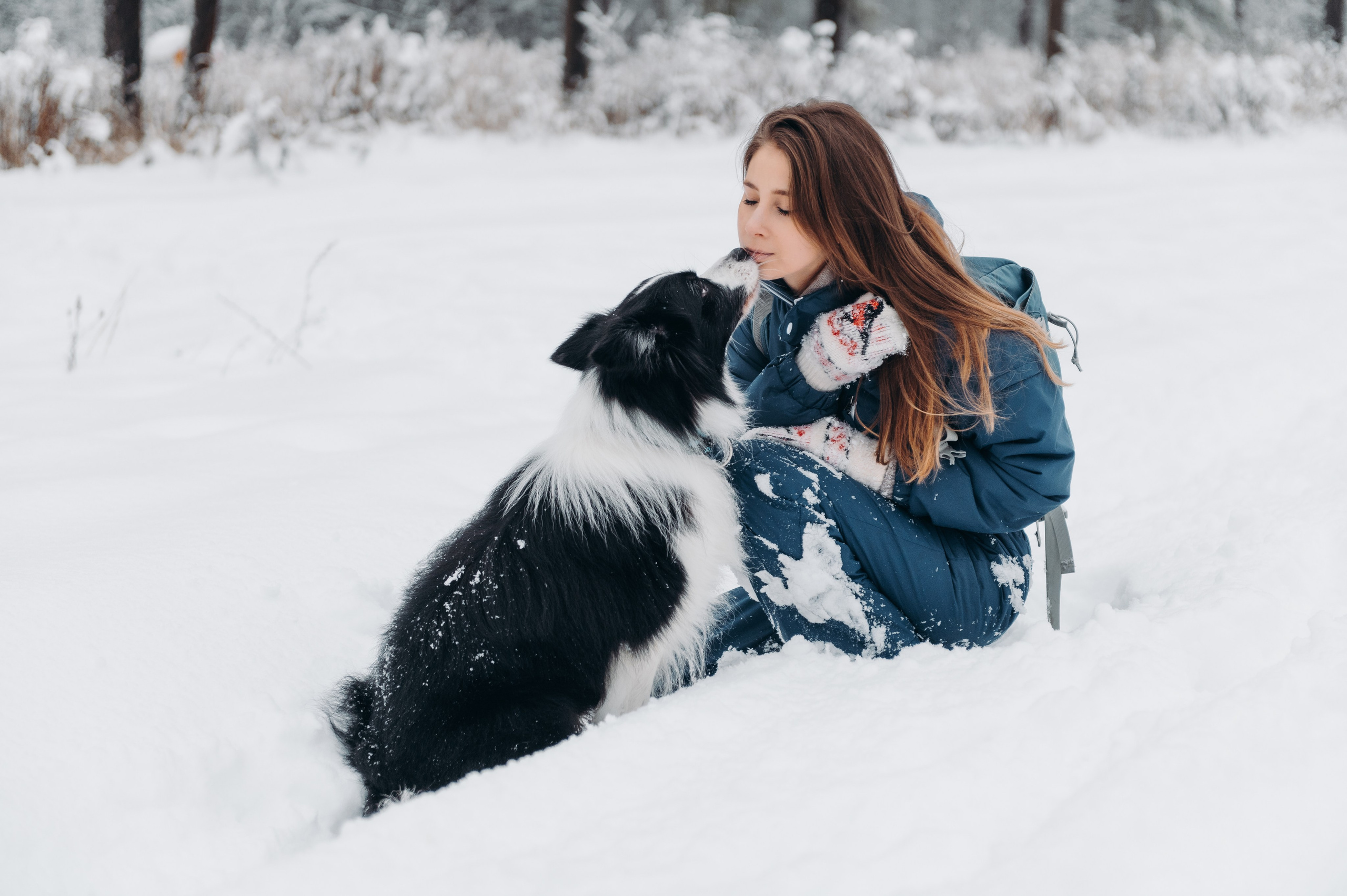 Снежная прогулка. Главная