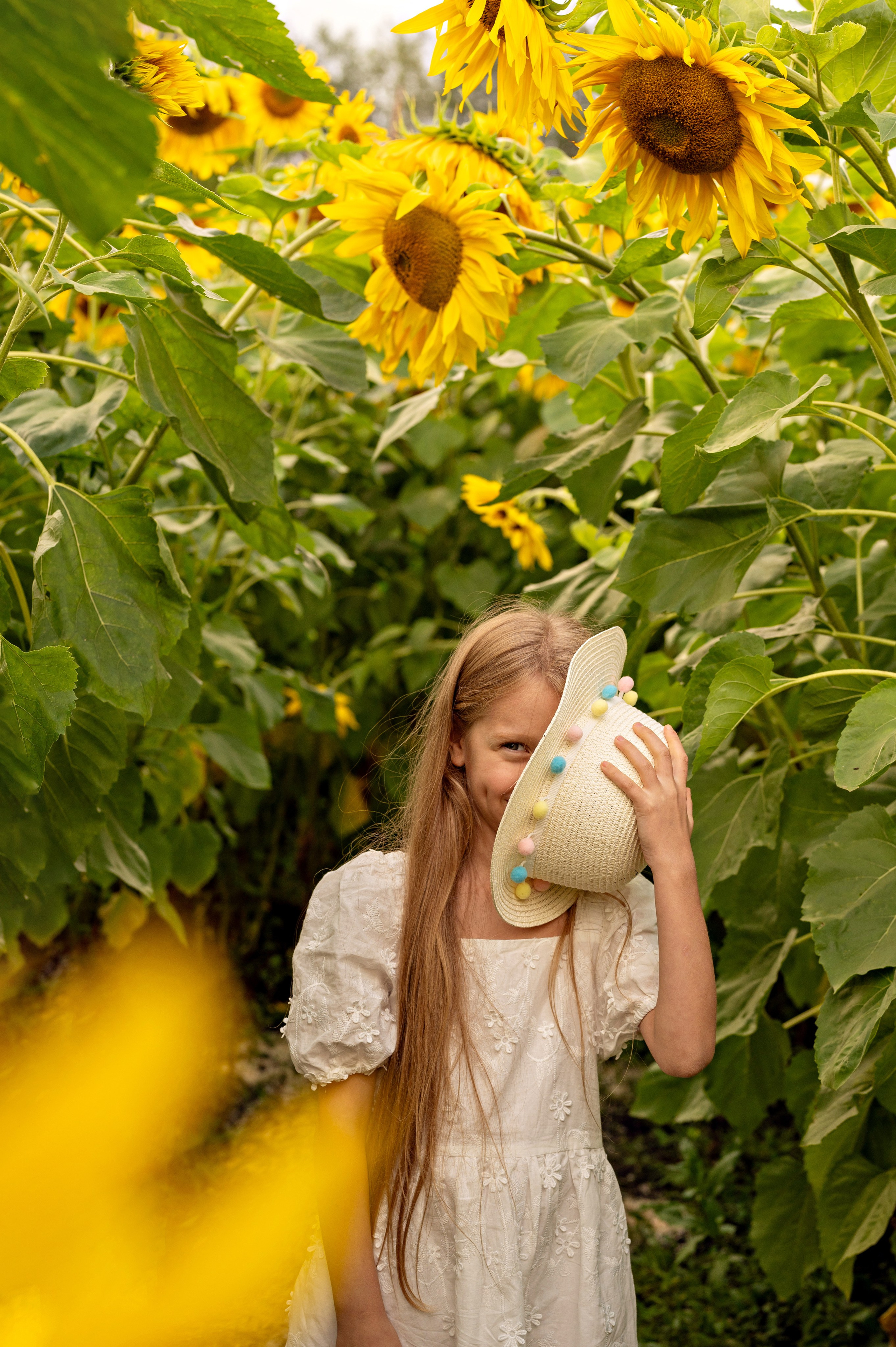 Подсолнухи. Фотограф новорожденных, семейный детский в Тюмени Татьяна Морозова