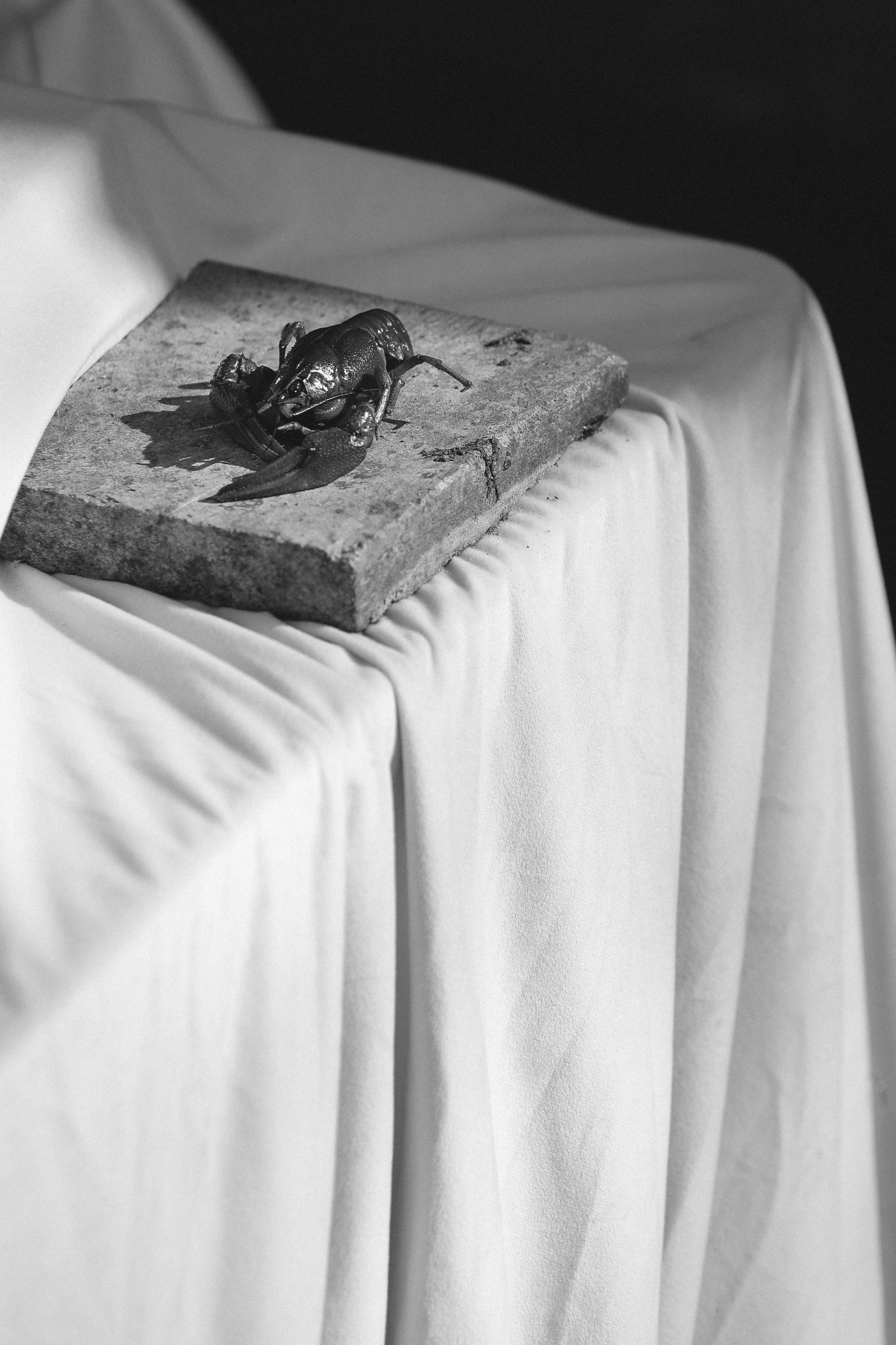 Wedding day Антон и Даша. Свадебный фотограф Полина Мишуринская