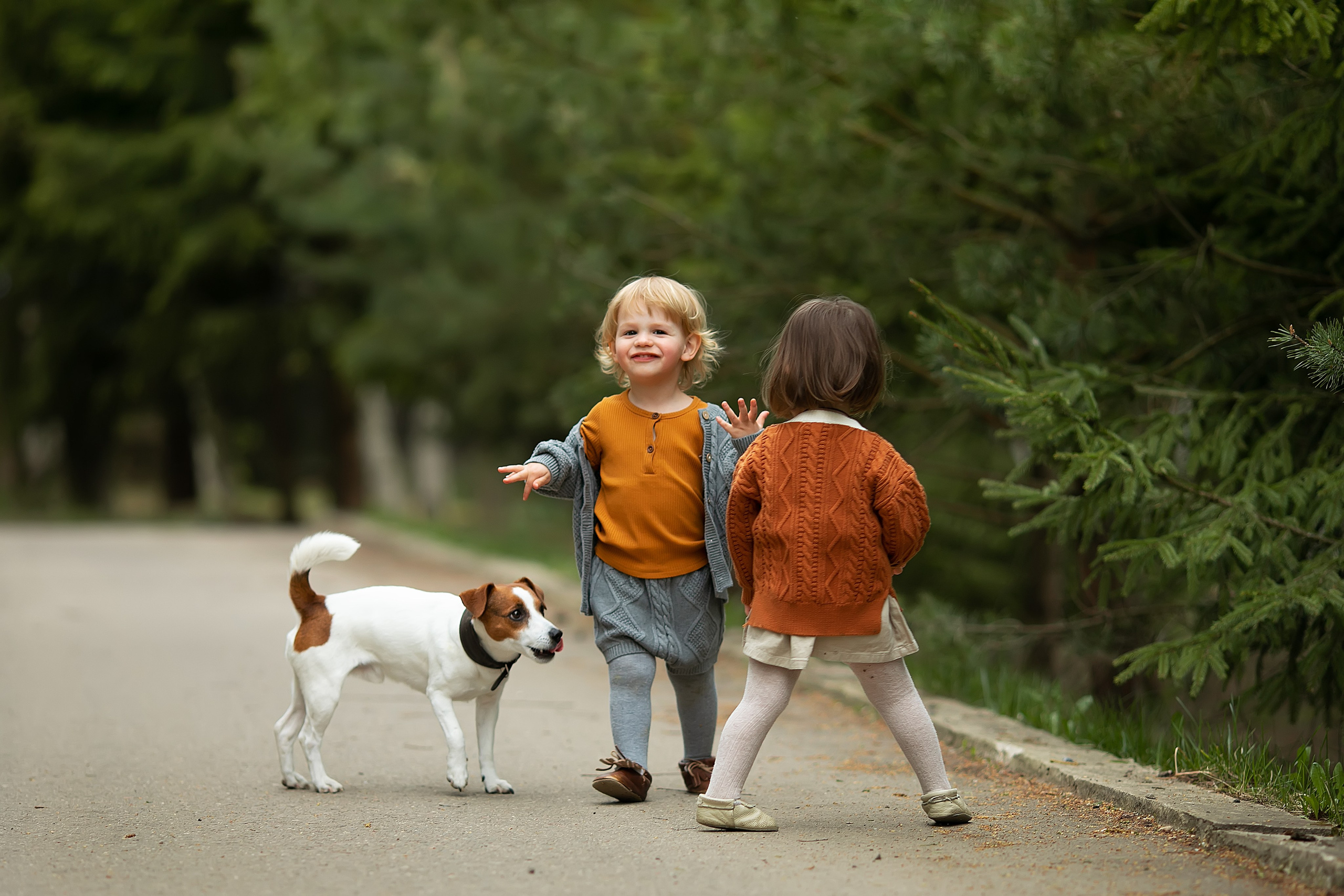 Лето. Главная