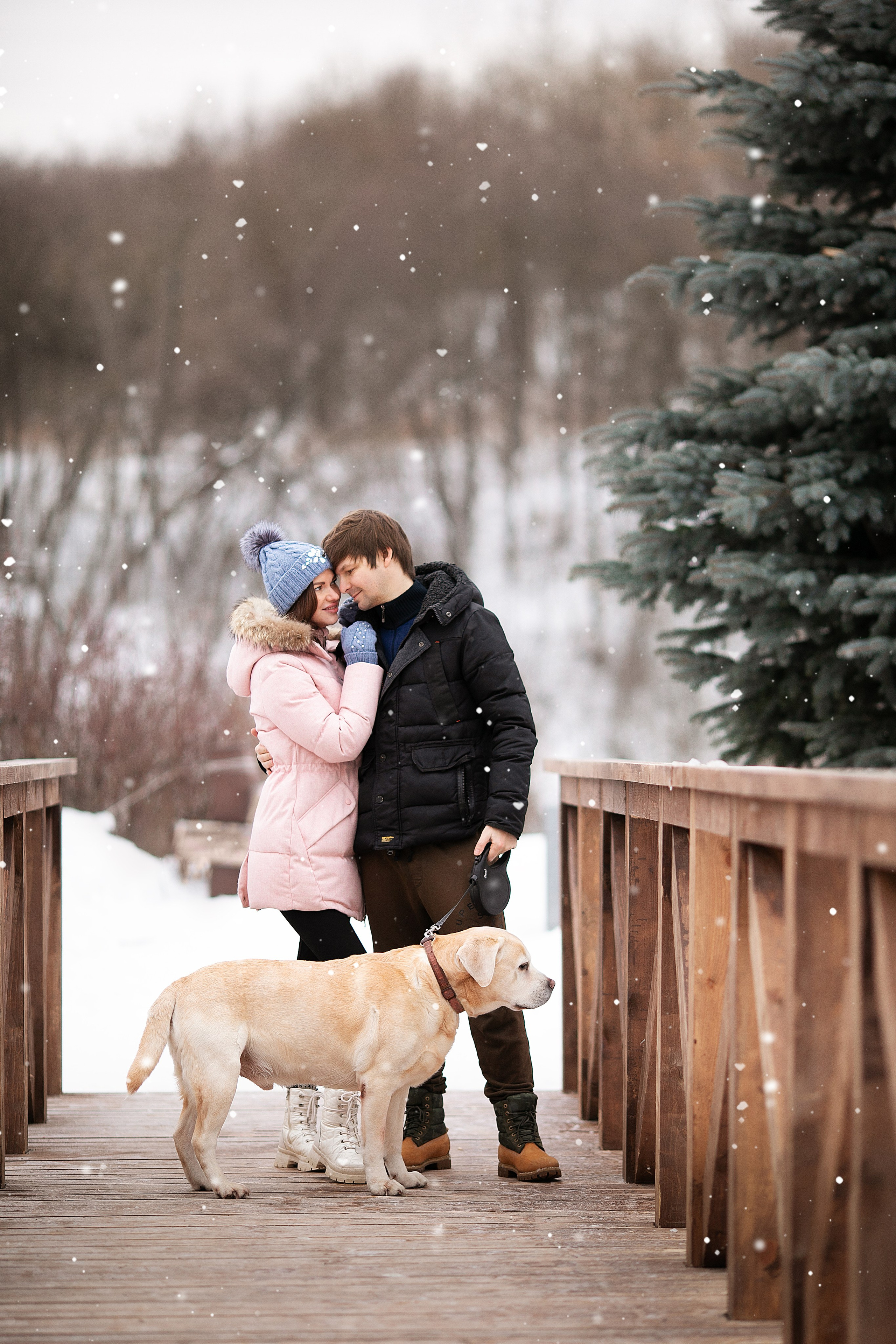 Волшебная зима. Главная