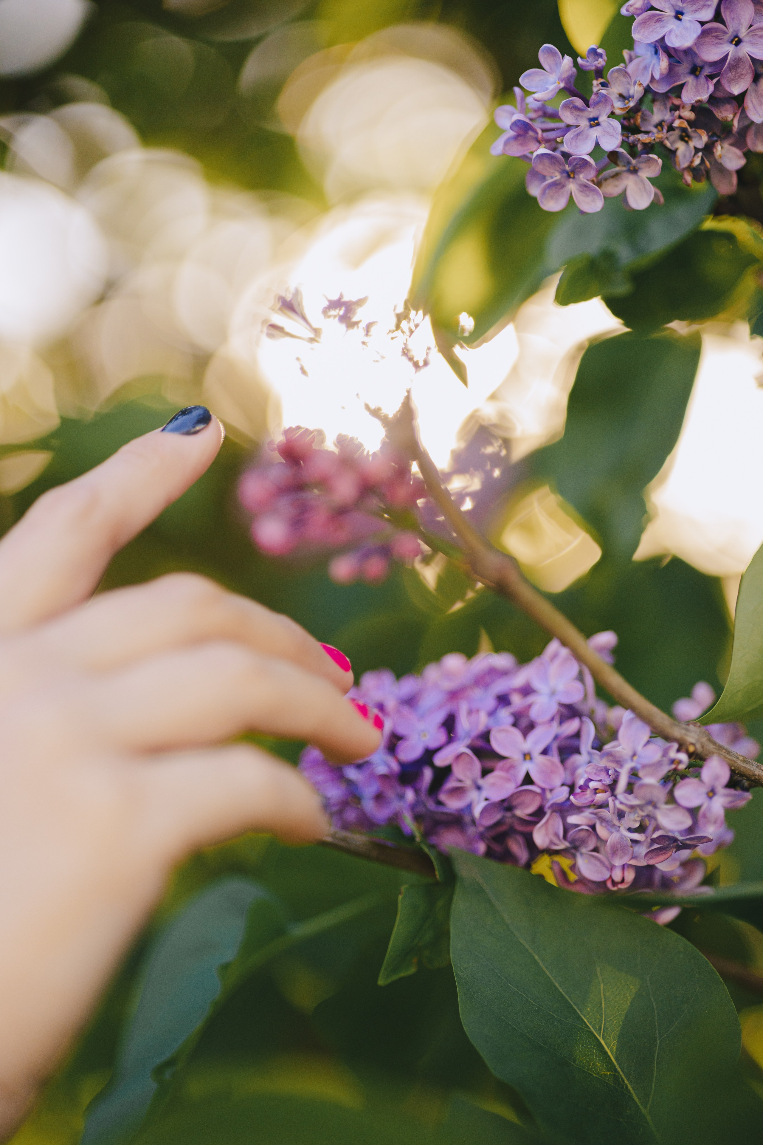 Даша. Фотограф Таганрог Любимая Надя