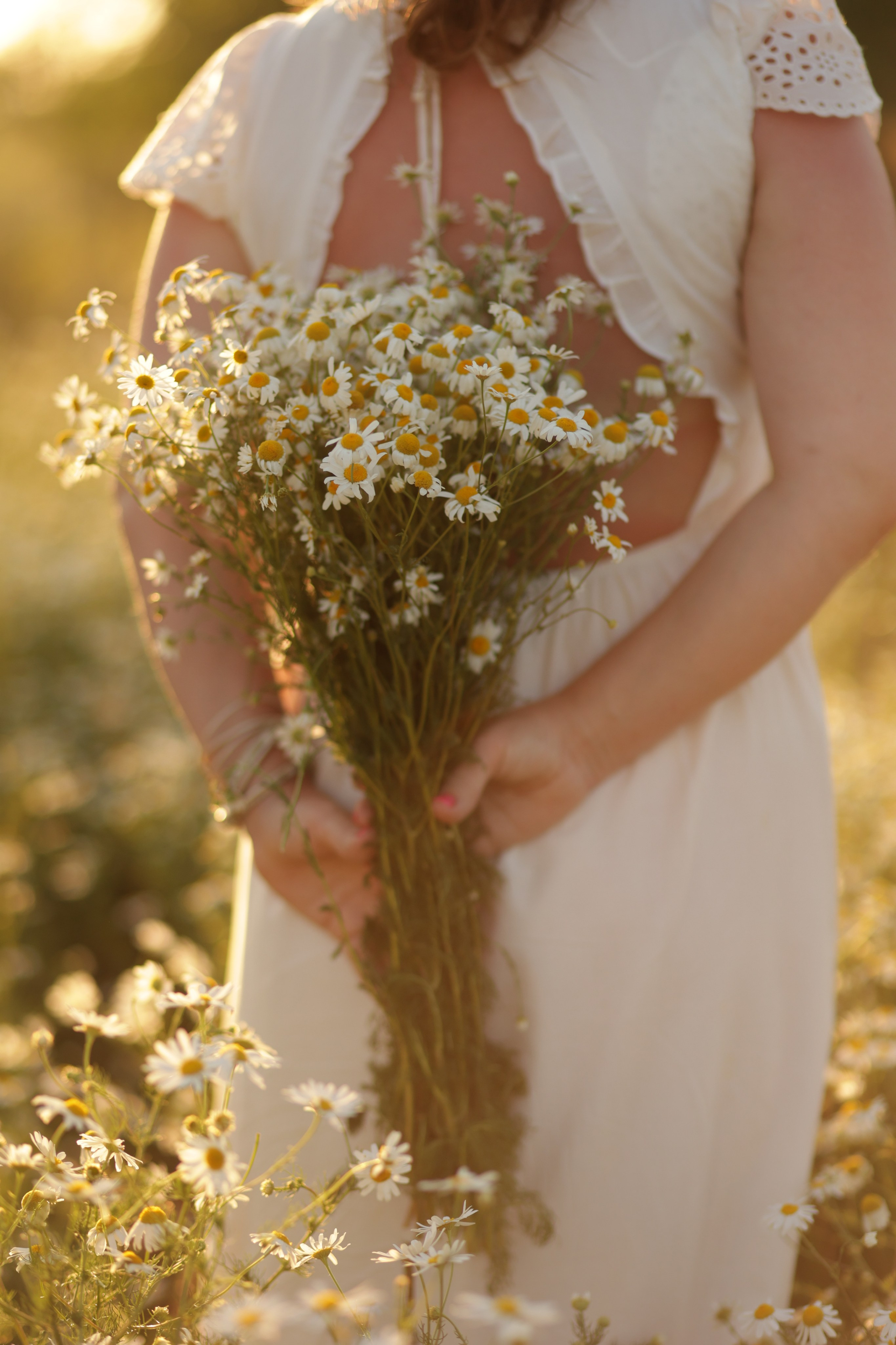 Девчонки в ромашках. Семейный фотограф в Саратове Юлия Охотникова