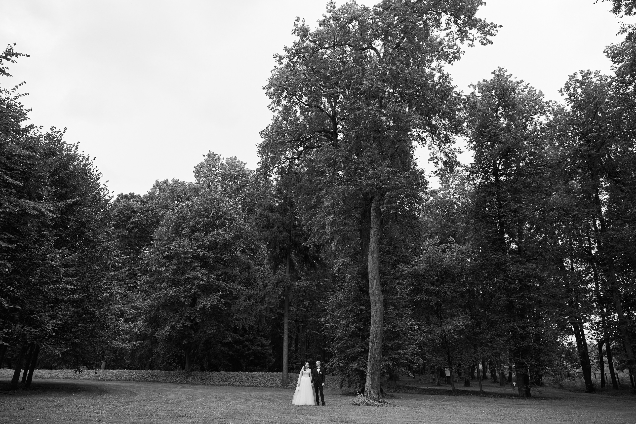 Andrei & Alexsandra. Kharchenkotatianaweddingphoto
