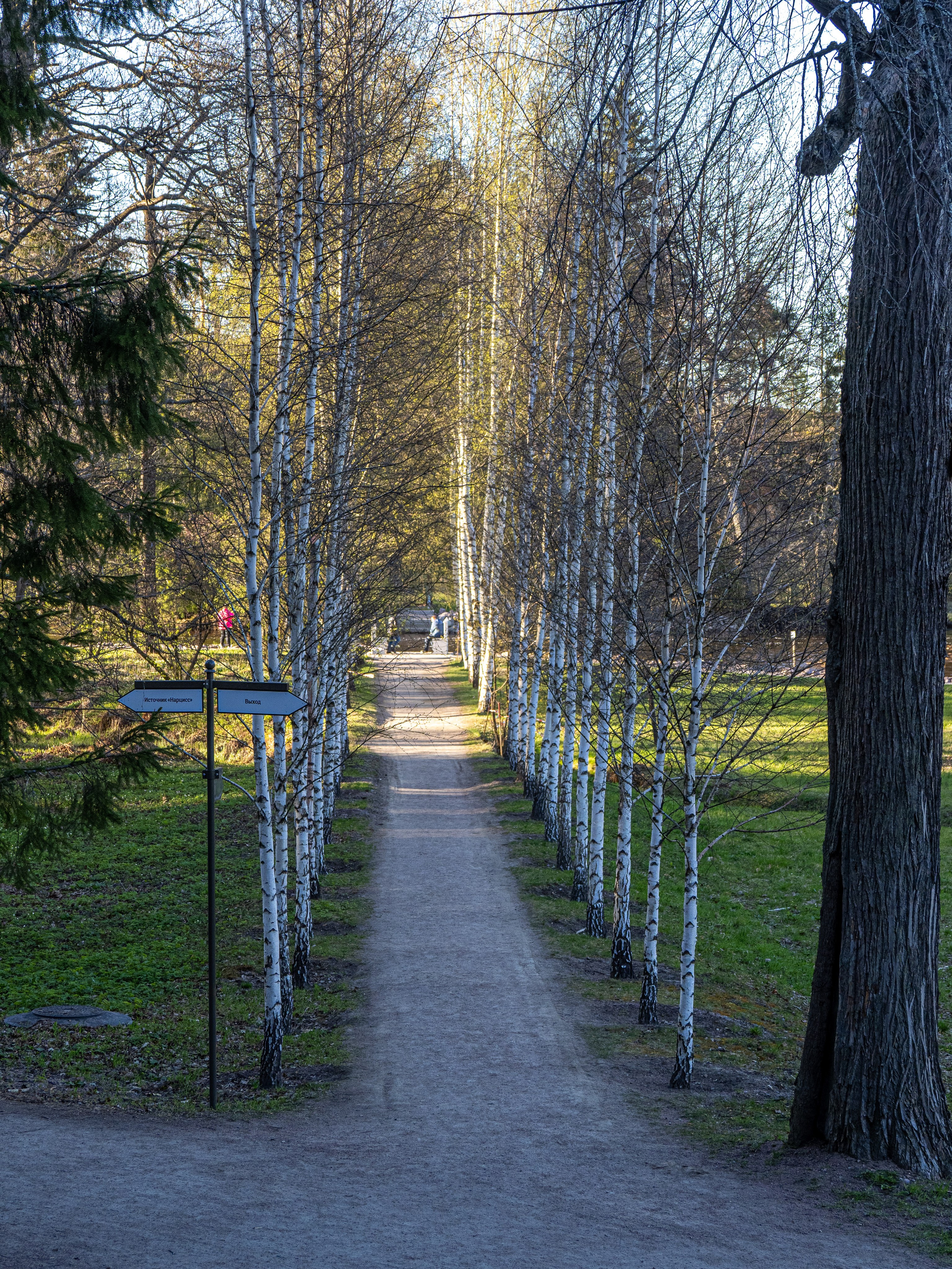 Кронштадт-Сортавала-Валаам-Выборг. Творческие сьемки