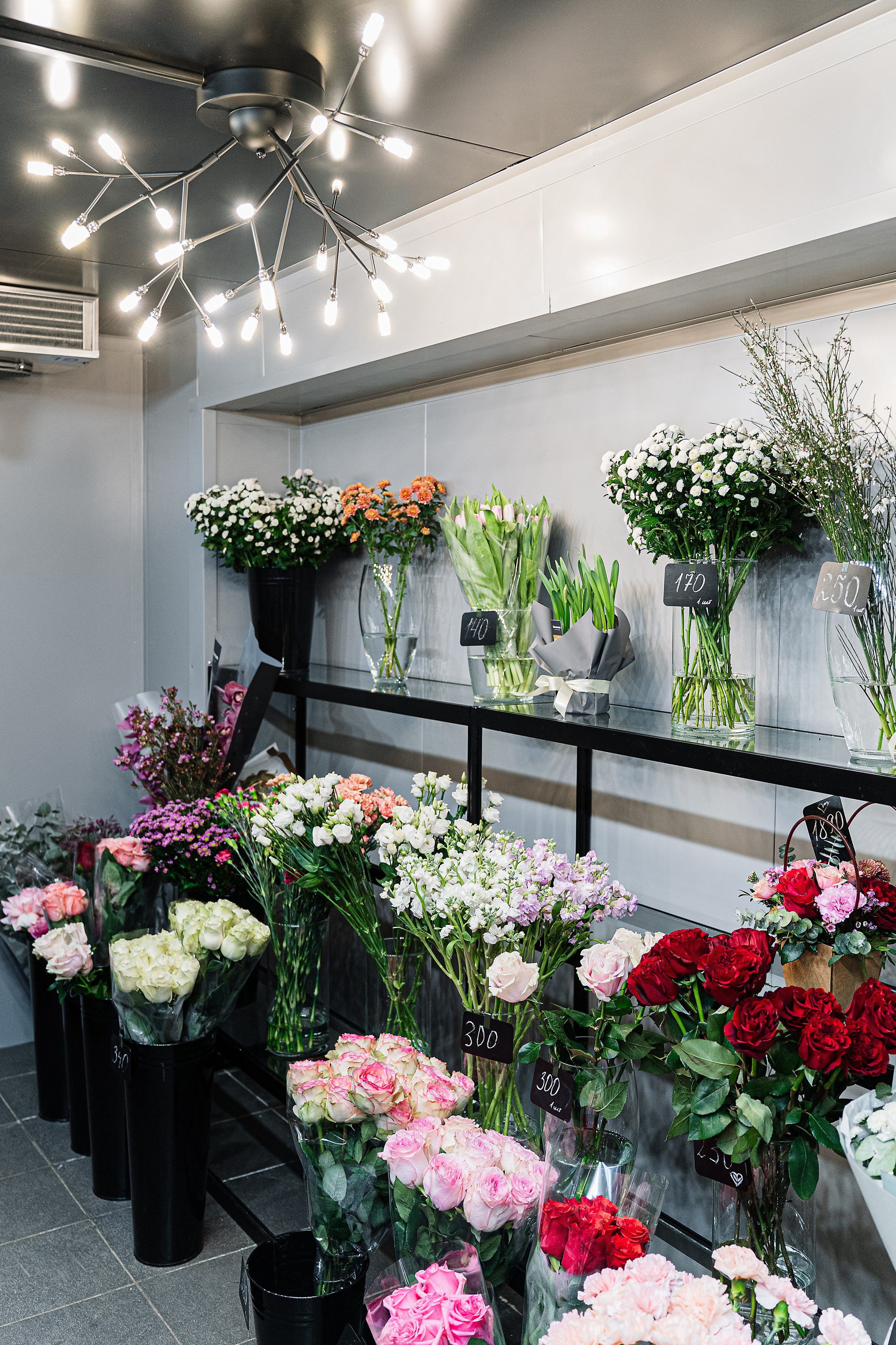 Регион холод. Елена Пашкевич, фотограф, Москва