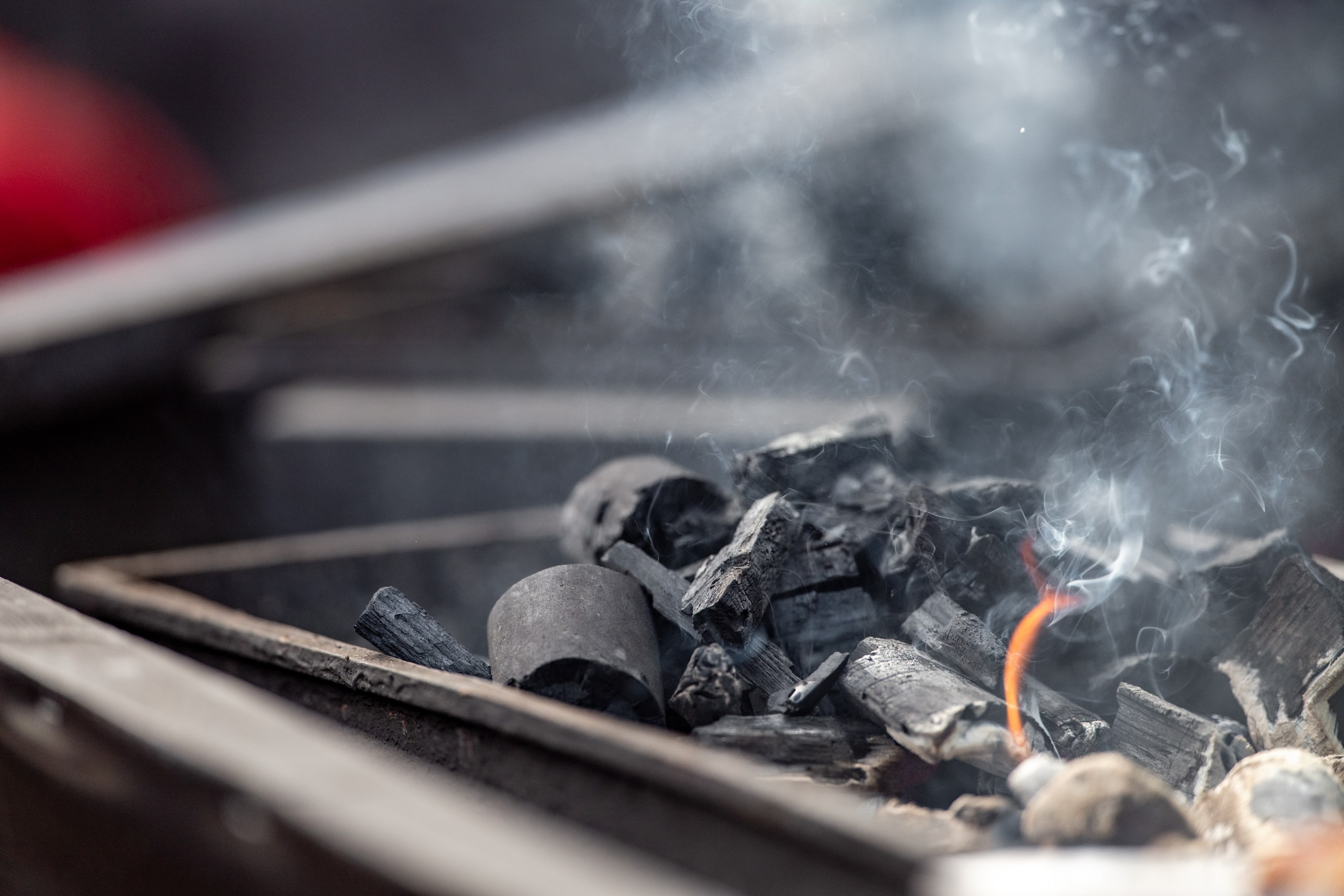 Фермерский гриль 27/09/2025. Фотограф в Краснодаре Алена Горбунова