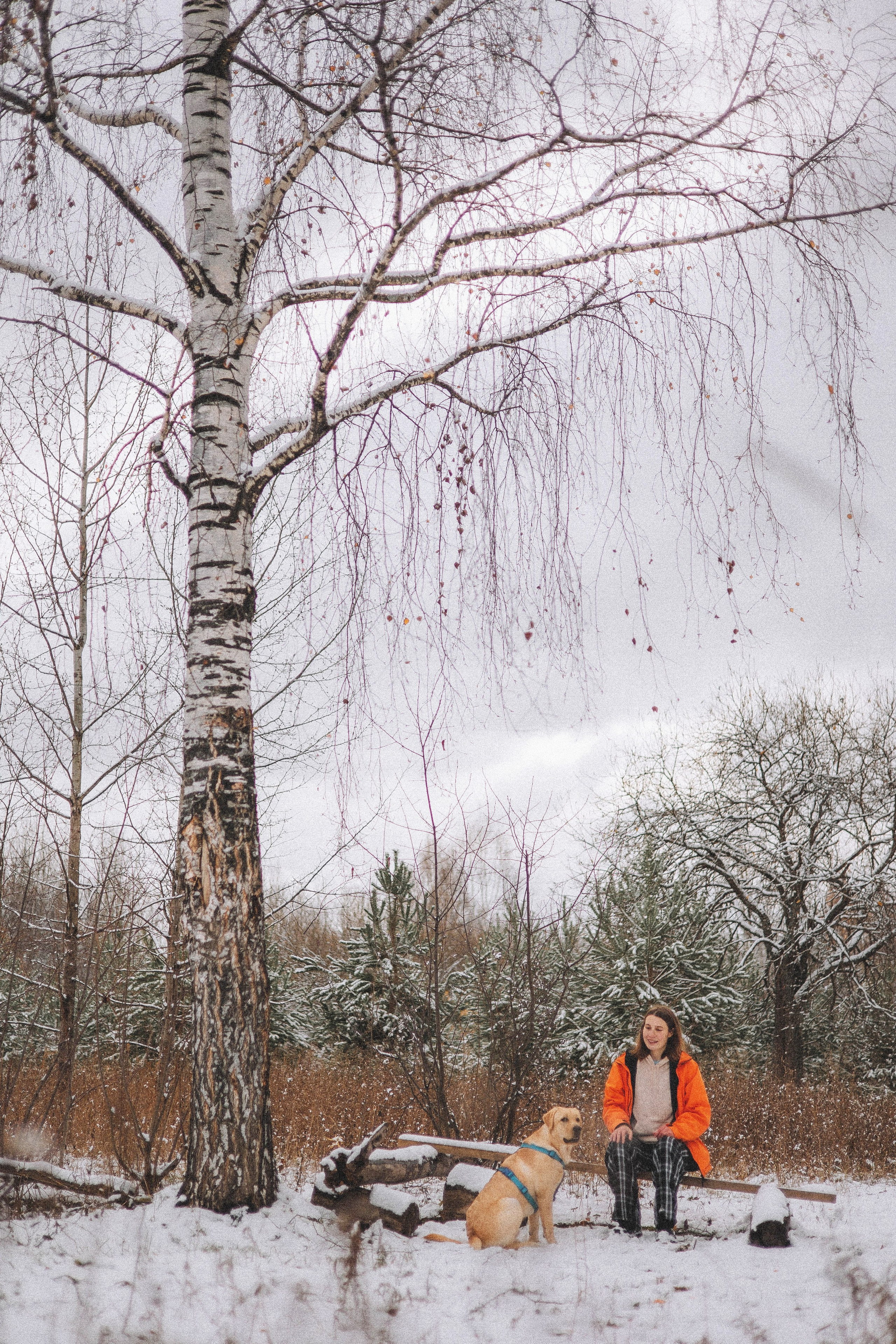 Маргарита и Варди. Фотограф-анималист Богданова Полина