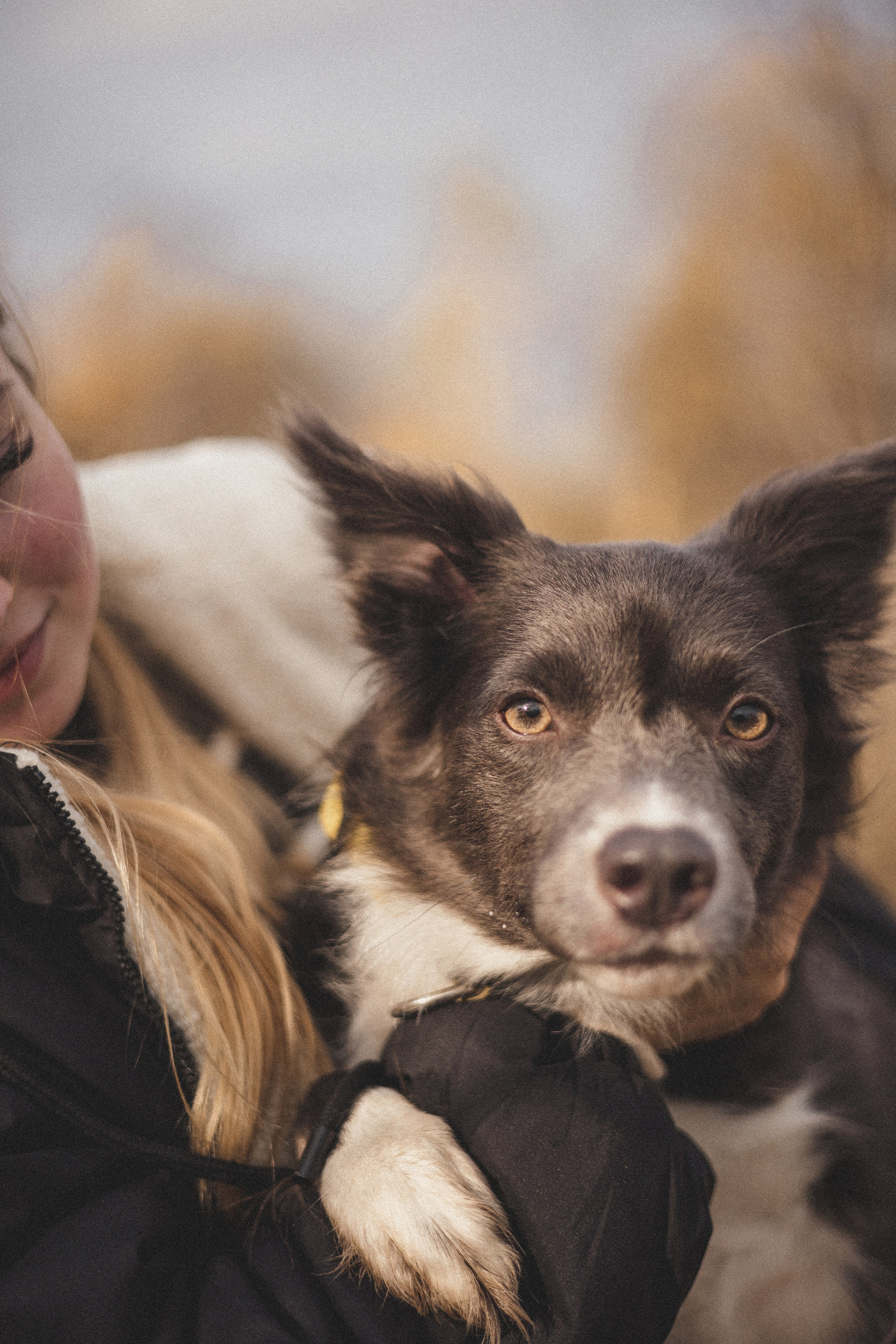 Даша и Дже. Фотограф-анималист Богданова Полина
