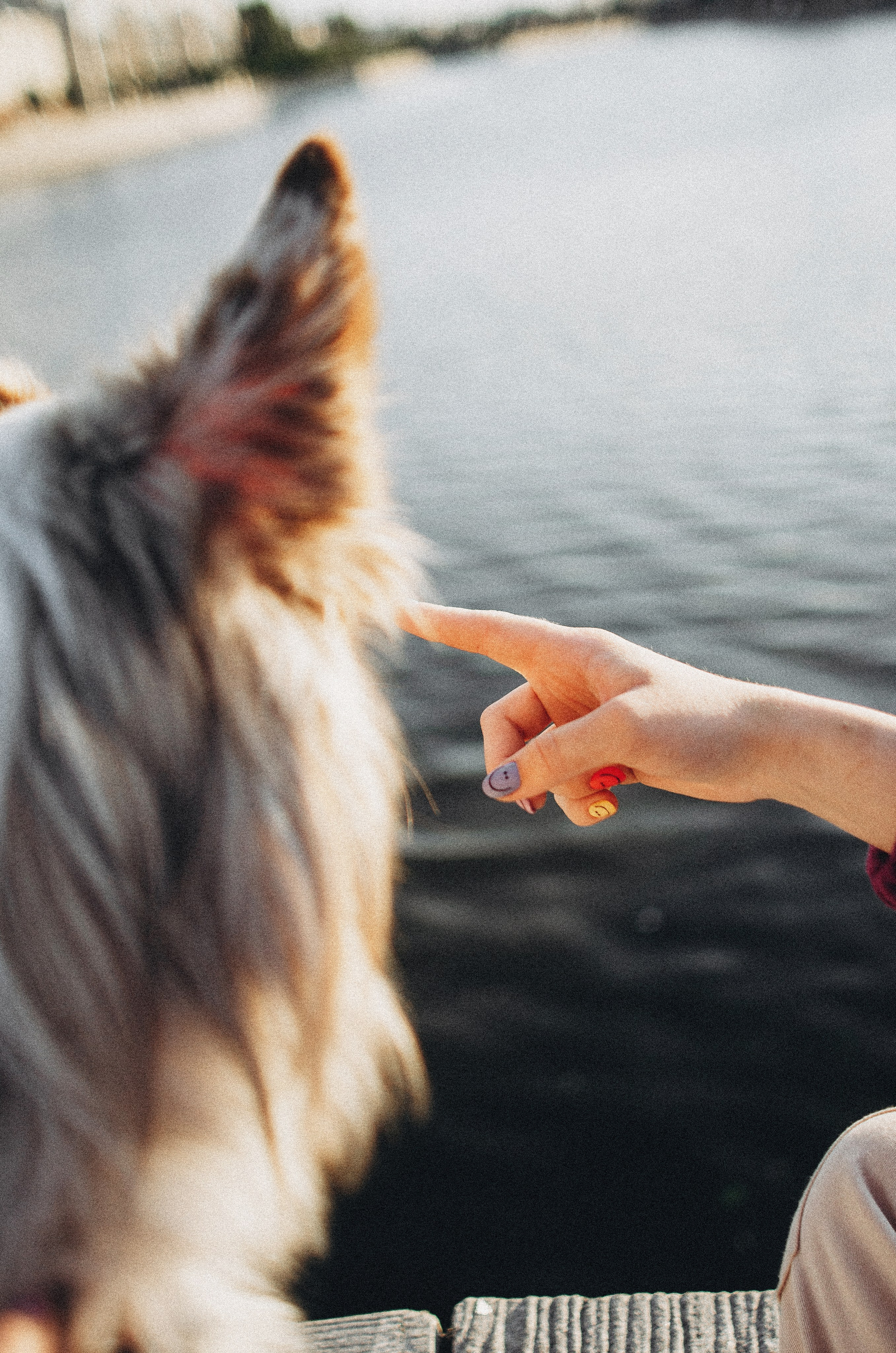 Аня и Дэймон. Фотограф-анималист Богданова Полина