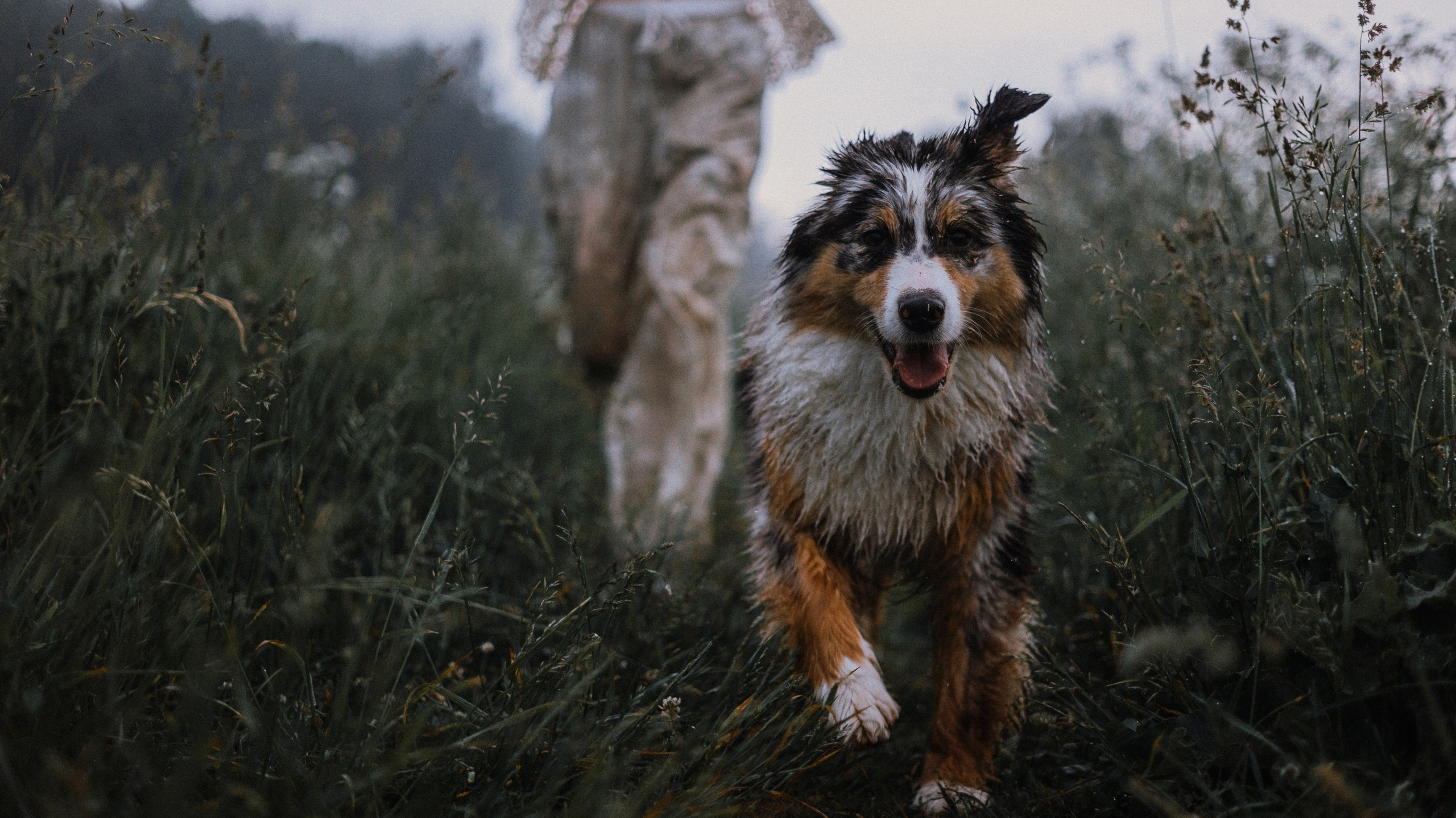 Маша и Долли. Фотограф-анималист Богданова Полина