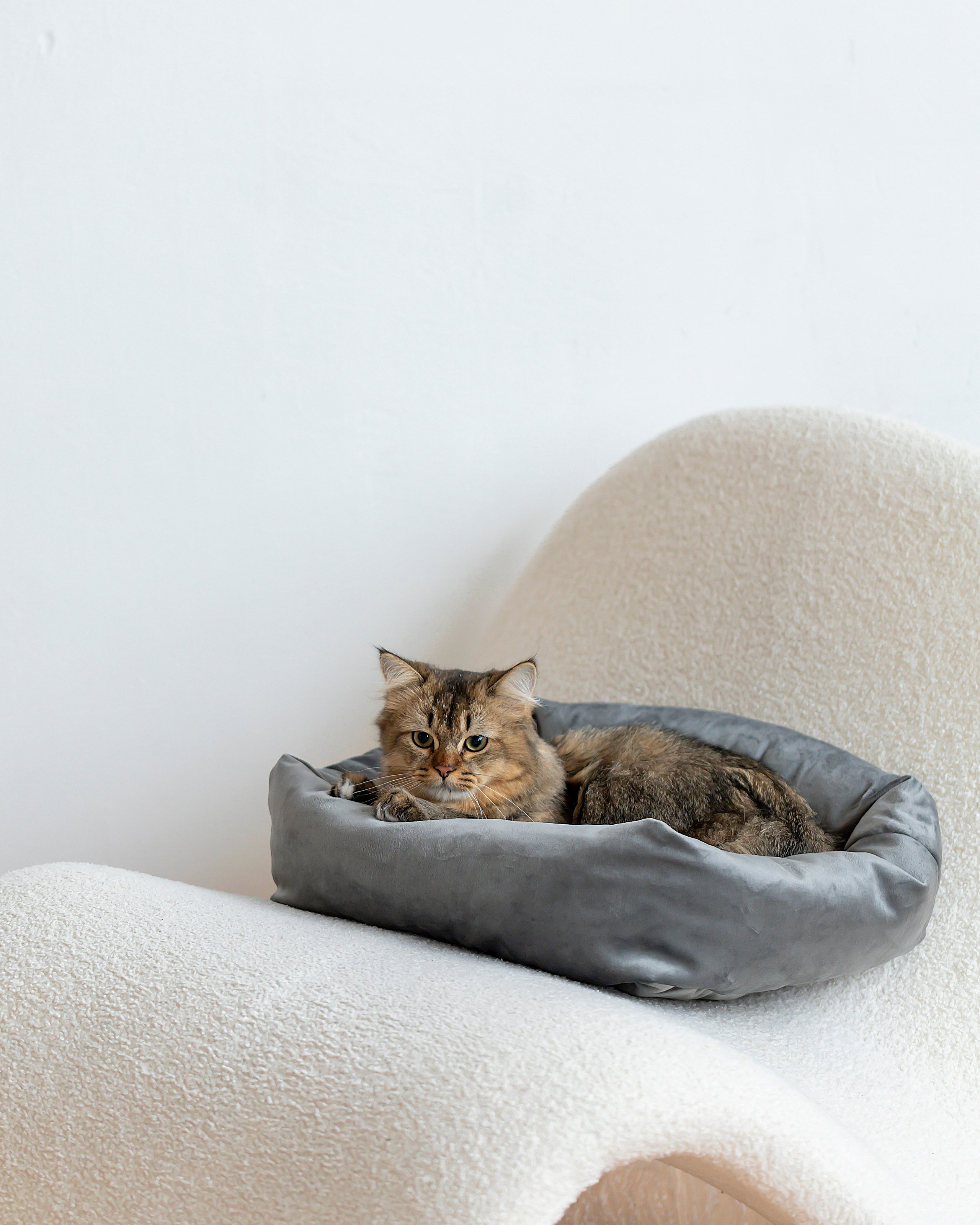 Лежанки для животных. Предметный & фудфотограф Рязань