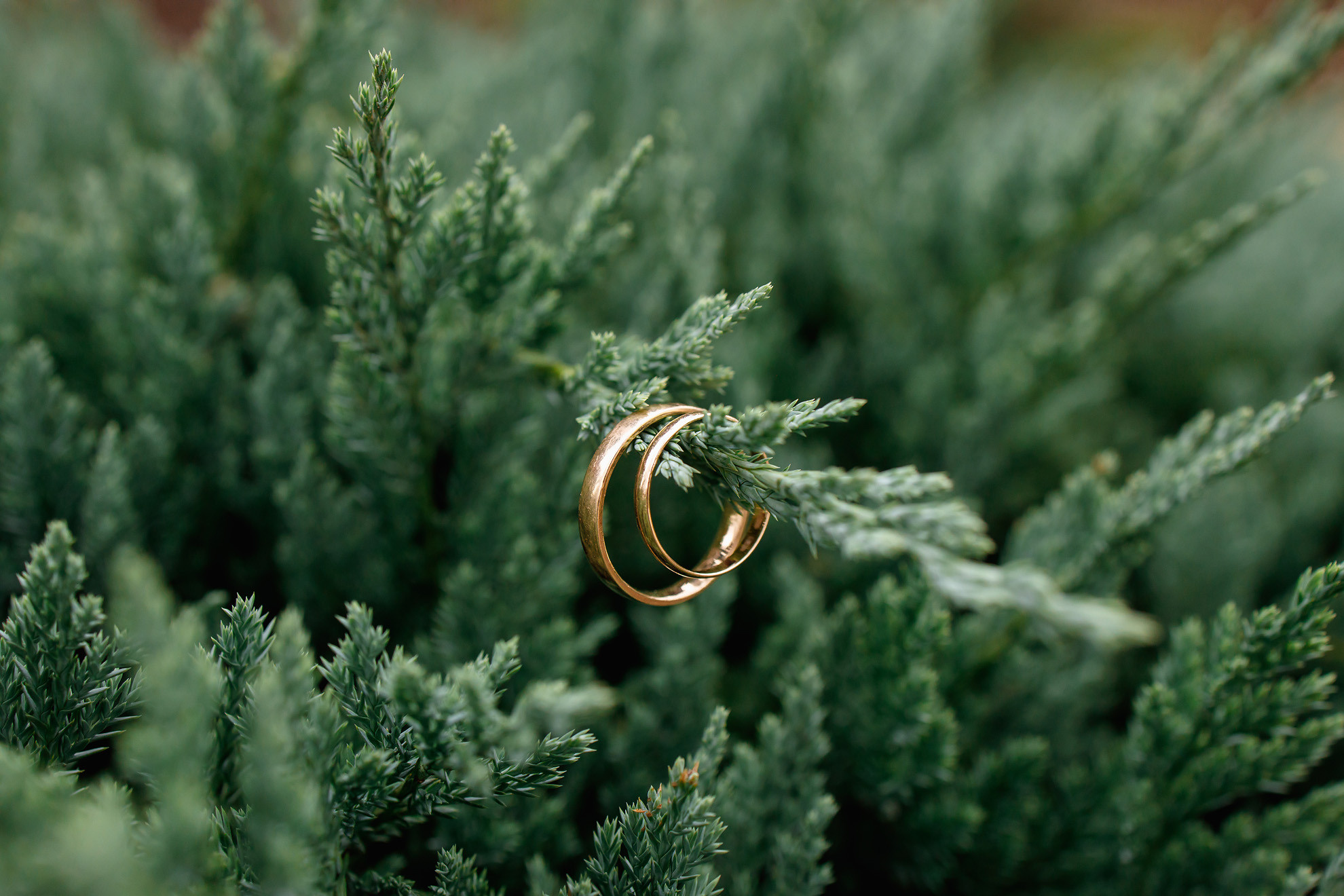 фотограф Ярослав Желваков