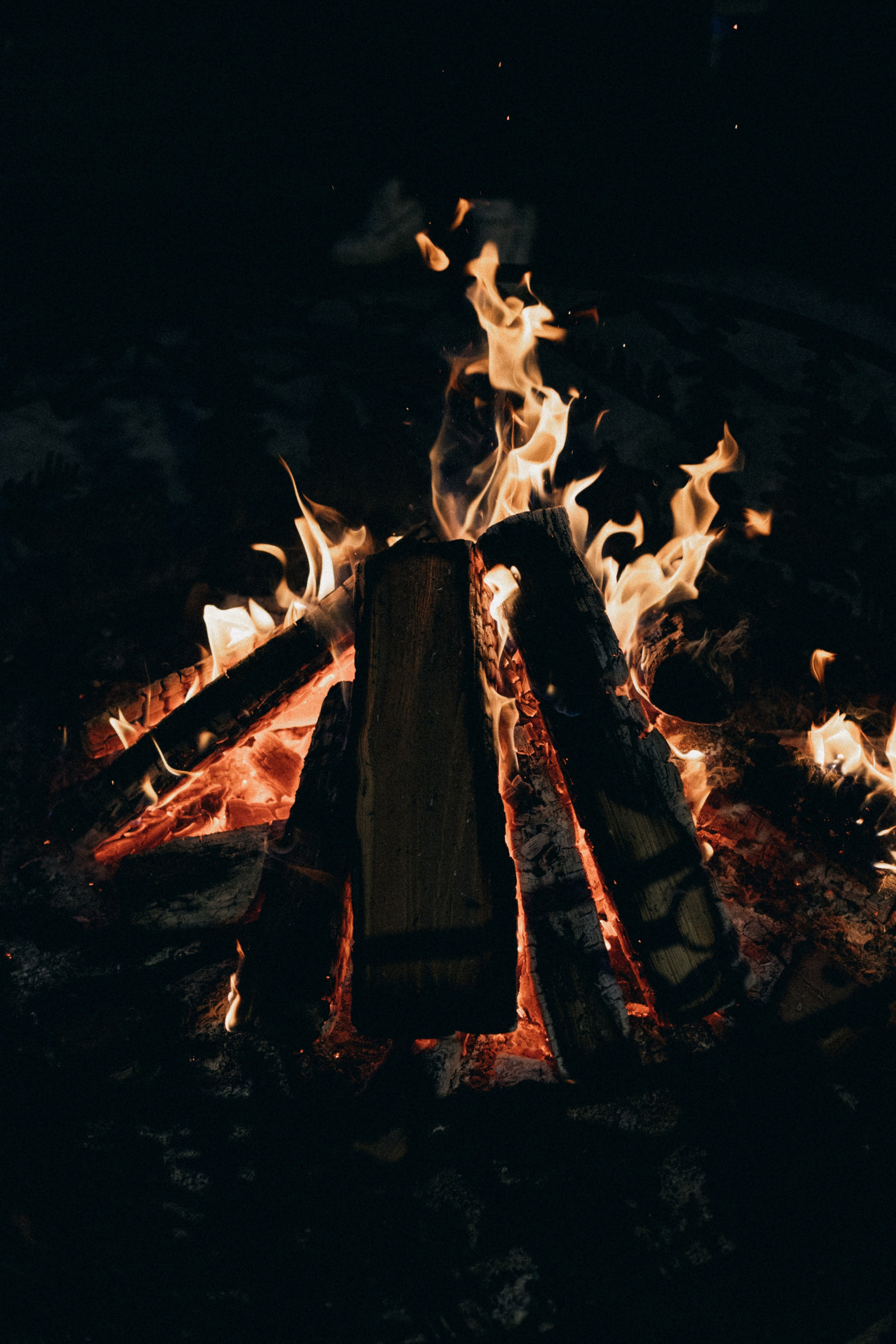 Алтай, природа и эстетика. Александр Чернин. Семейный и событийный фотограф