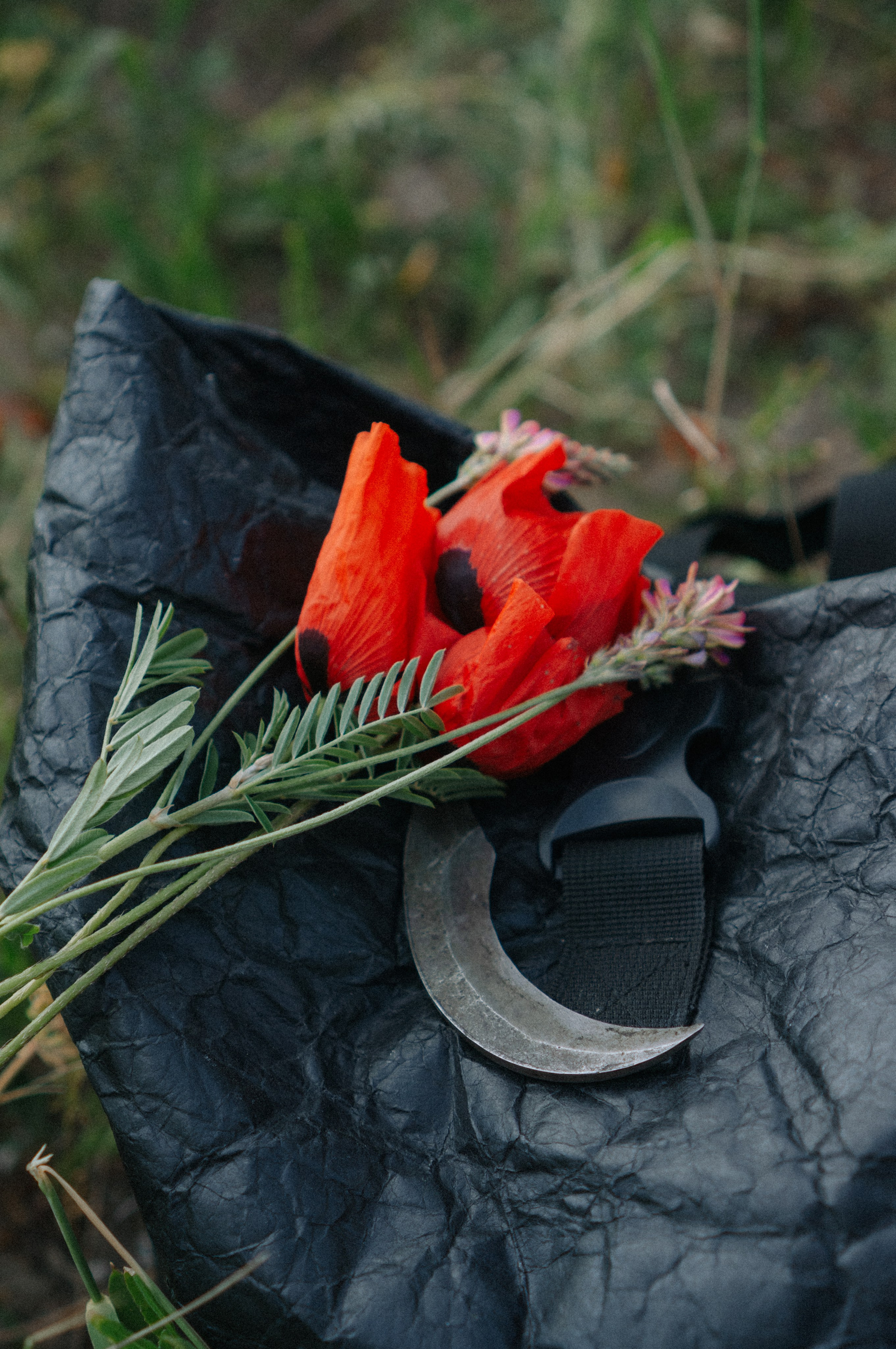 Тур за травами | маки. Обо мне