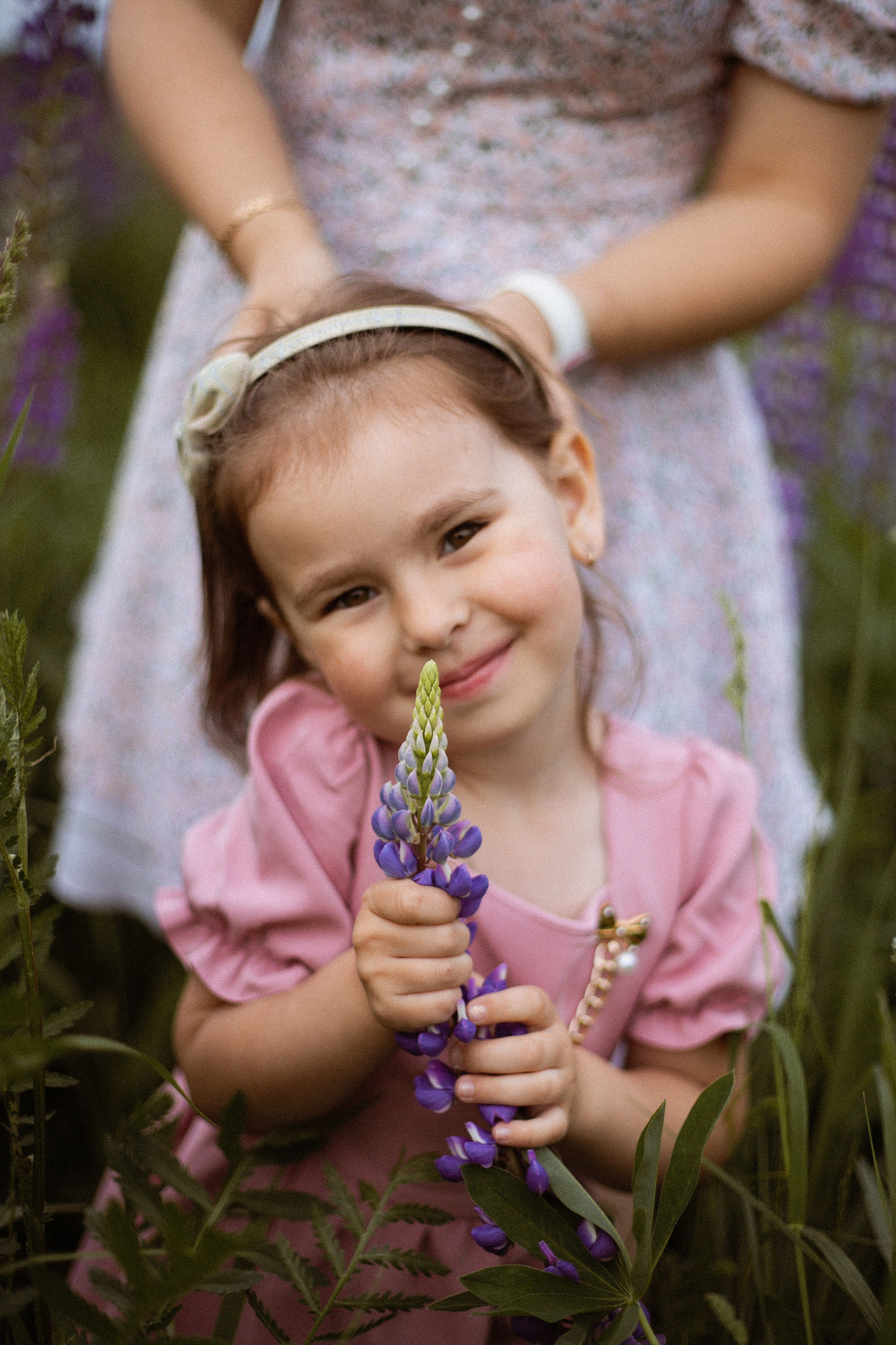 Июньские люпины. Фотограф в Москве/Санкт-Петербурге