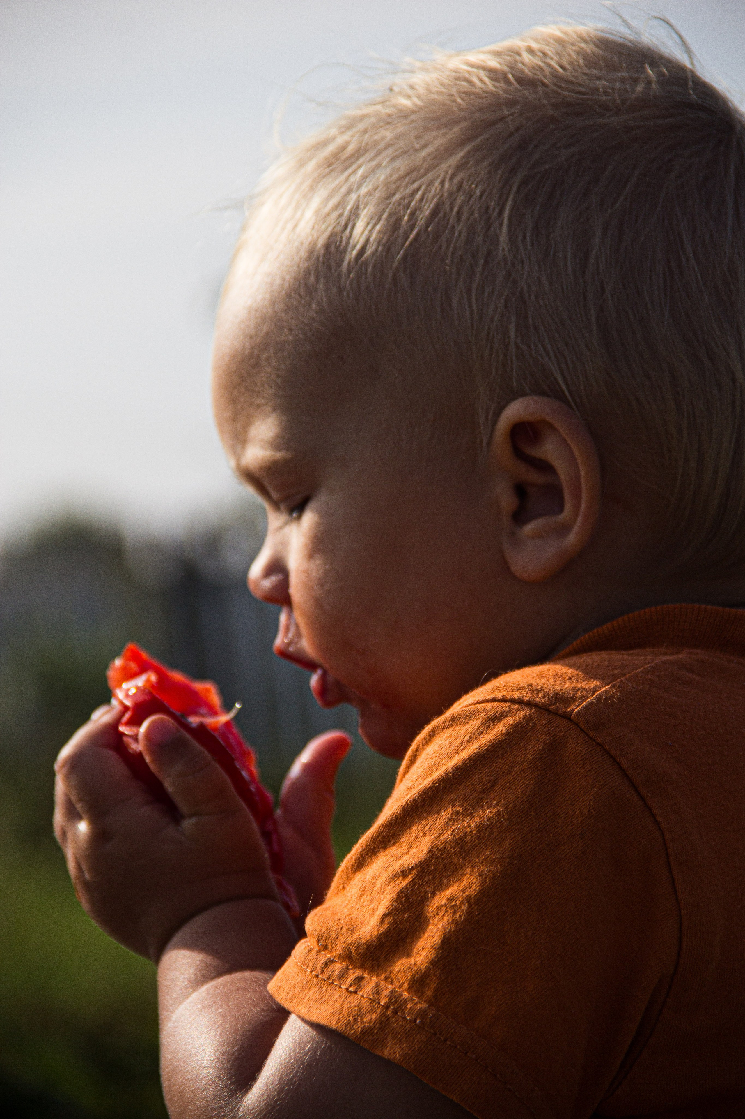 Portrait: Tomato Delight 🍅. Фотограф в Перми Любовь Огородова | Авторские туры