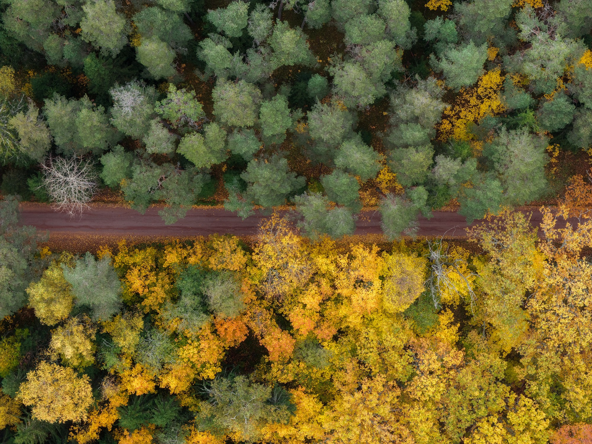 Остров Валаам. Архитектурный и пейзажный фотограф Кондратенко Руслан, Санкт-Петербург