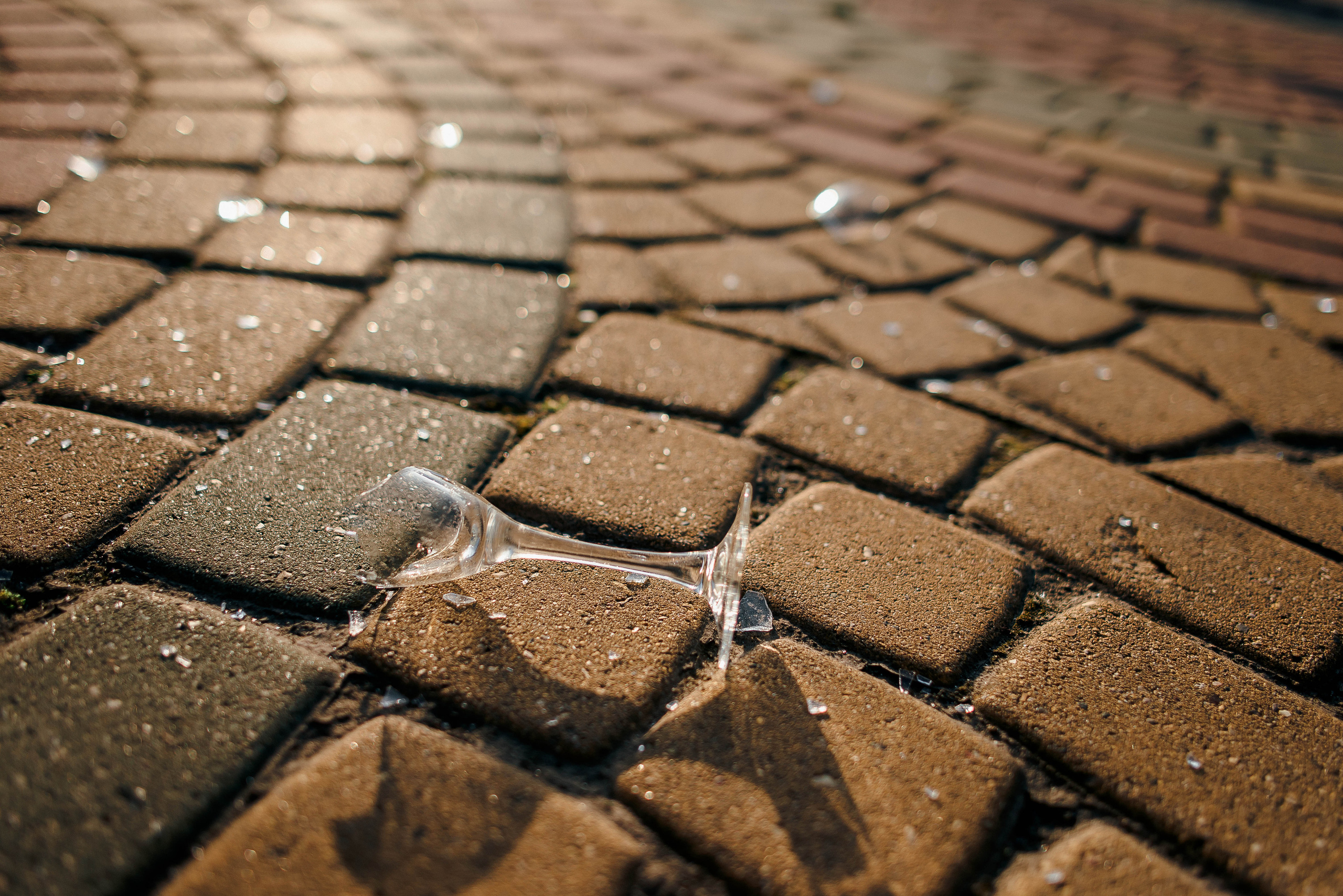 Николай и Екатерина. Свадебный фотограф Курск Артем Духтанов