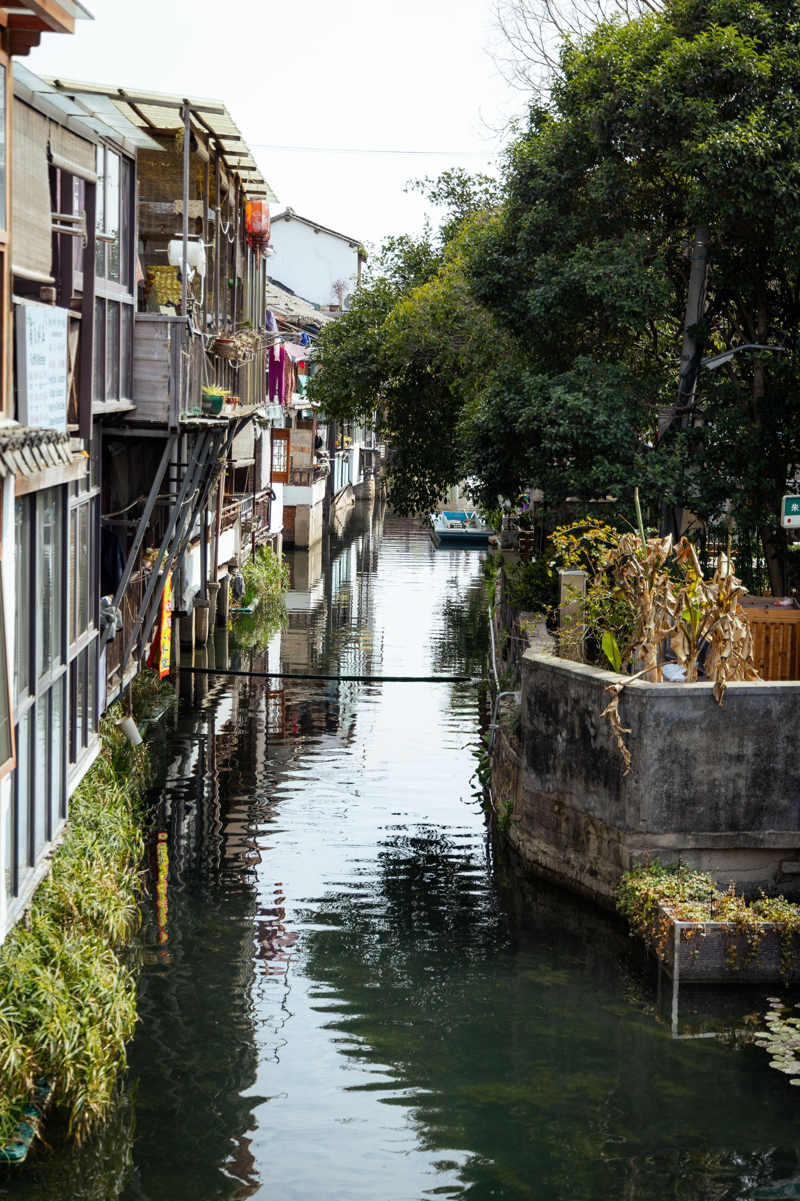 Шанхай (март 2026). Фотограф Виноградов Константин