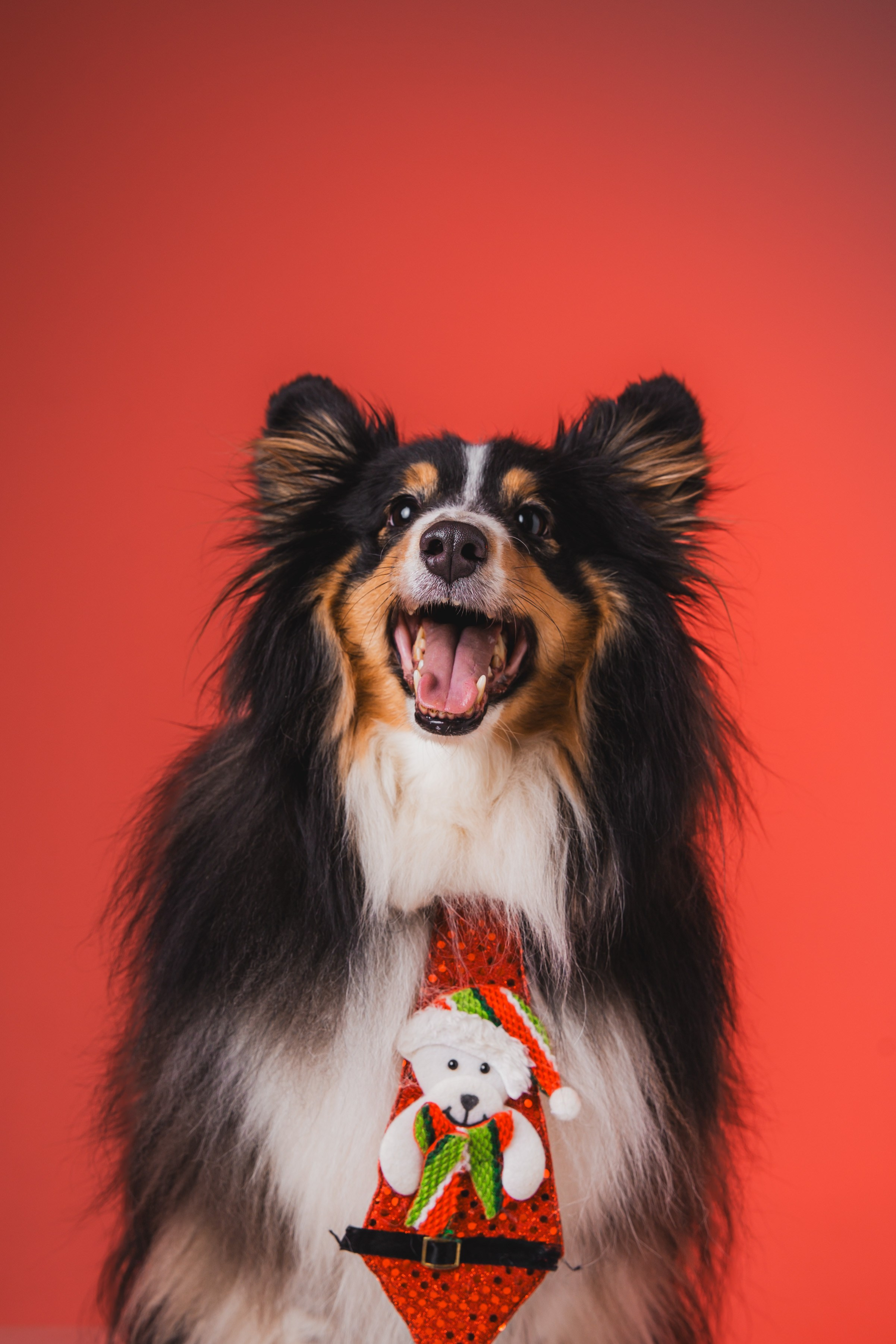 Воркшоп по импульсному свету