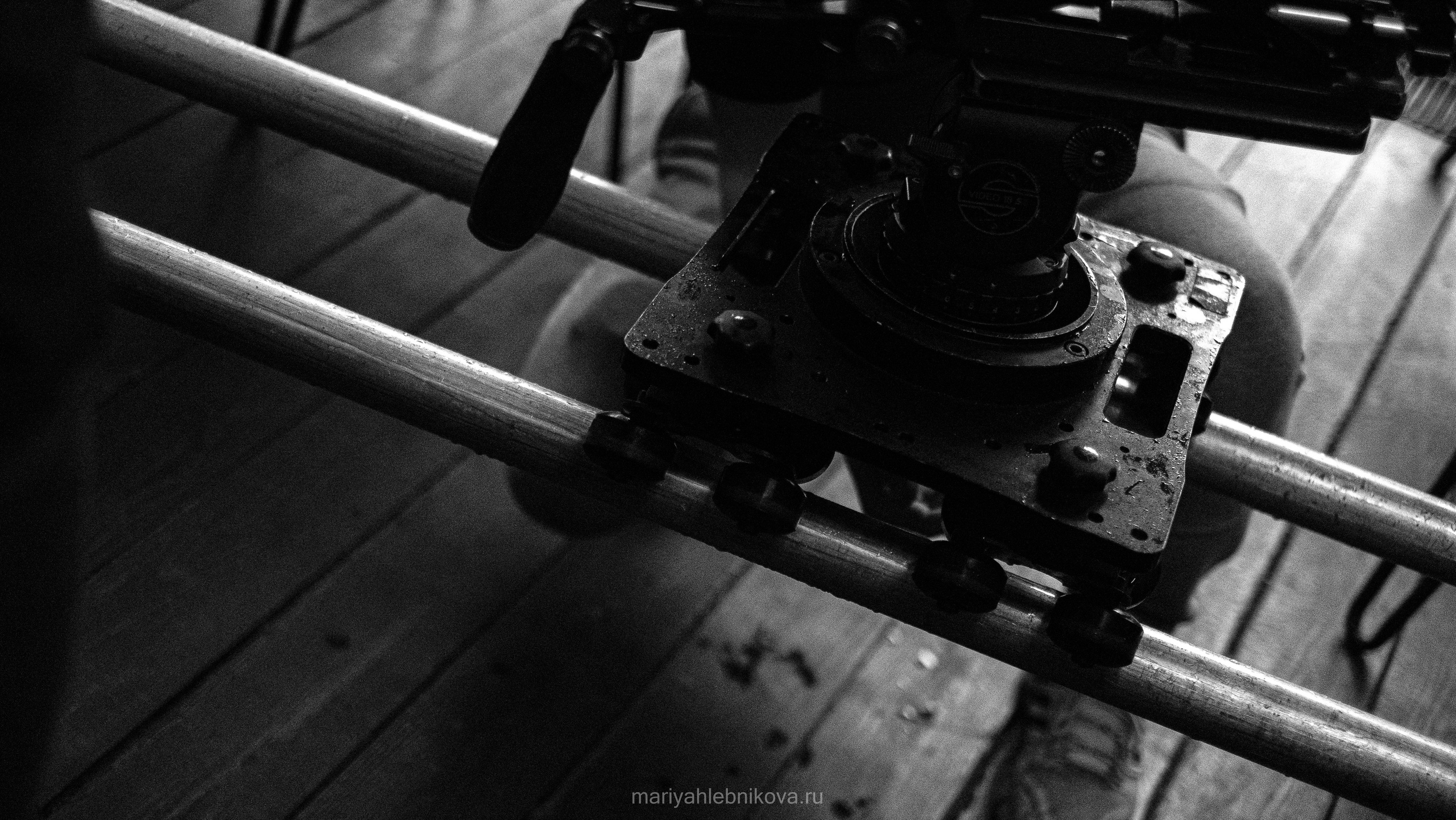 «Тайна белой вороны». Фотограф Мария Хлебникова Санкт-Петербург Москва