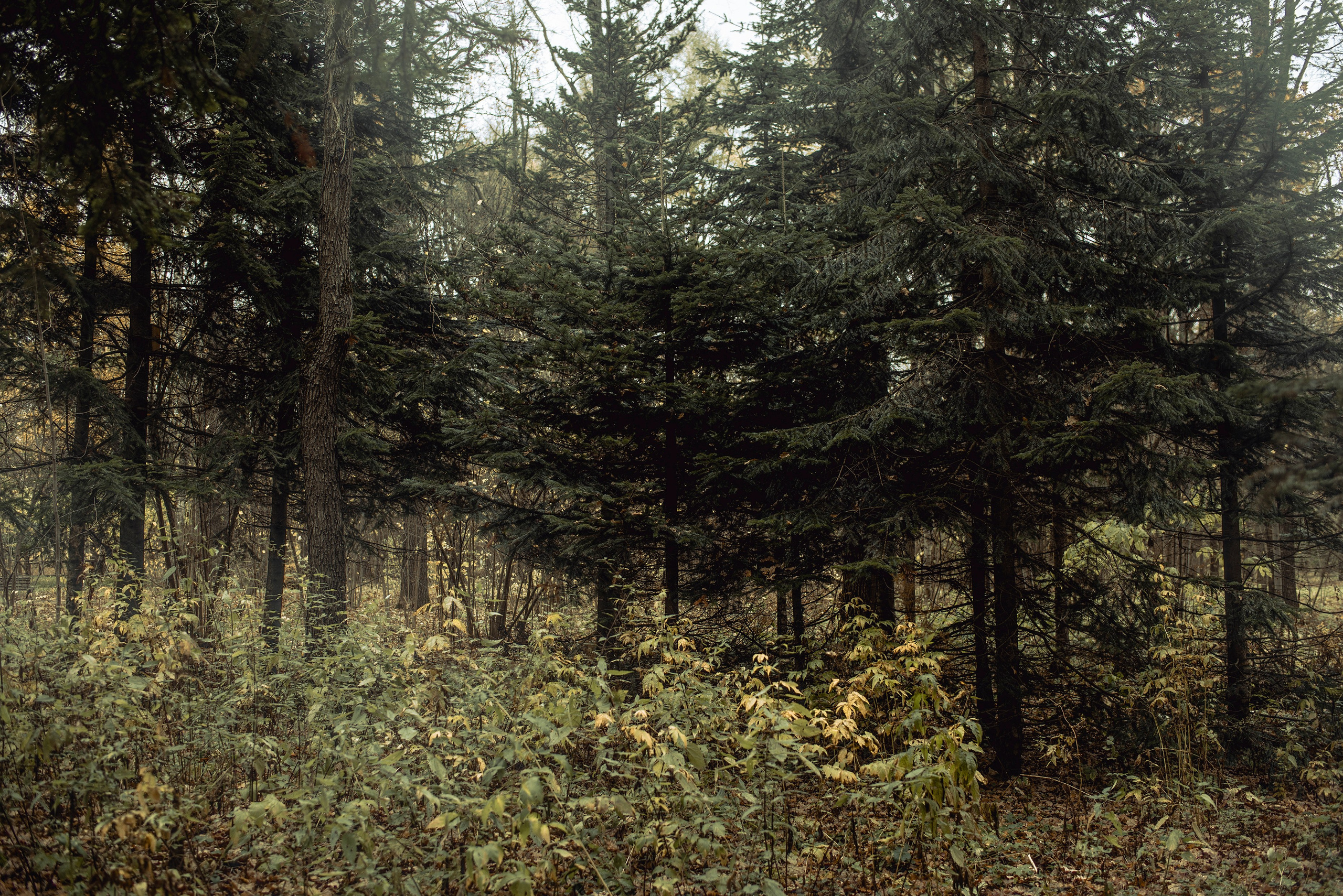 Being (study progect). Фотограф в Москве Алейникова Евгения