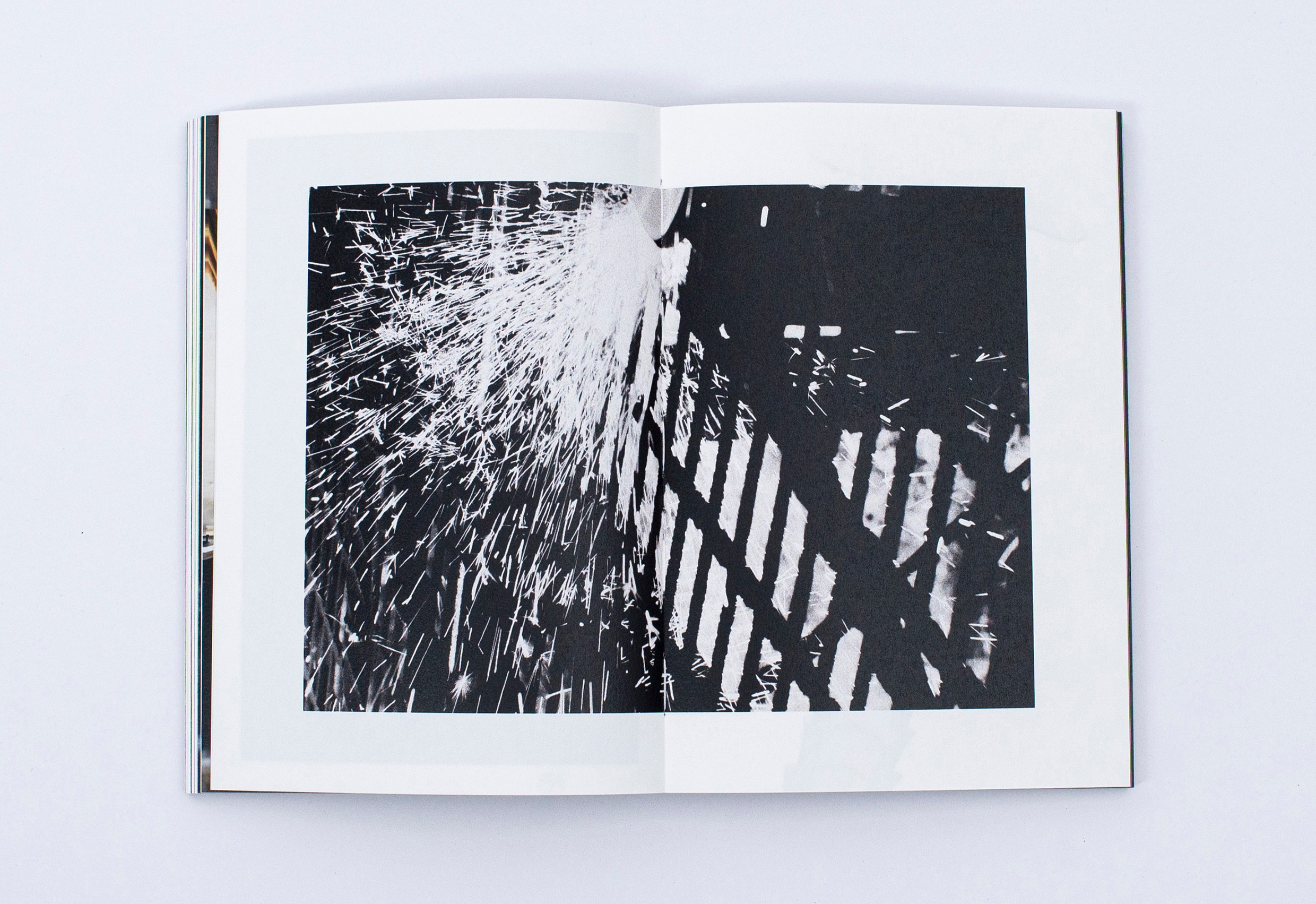 Книга. Фотограф в Москве Алейникова Евгения