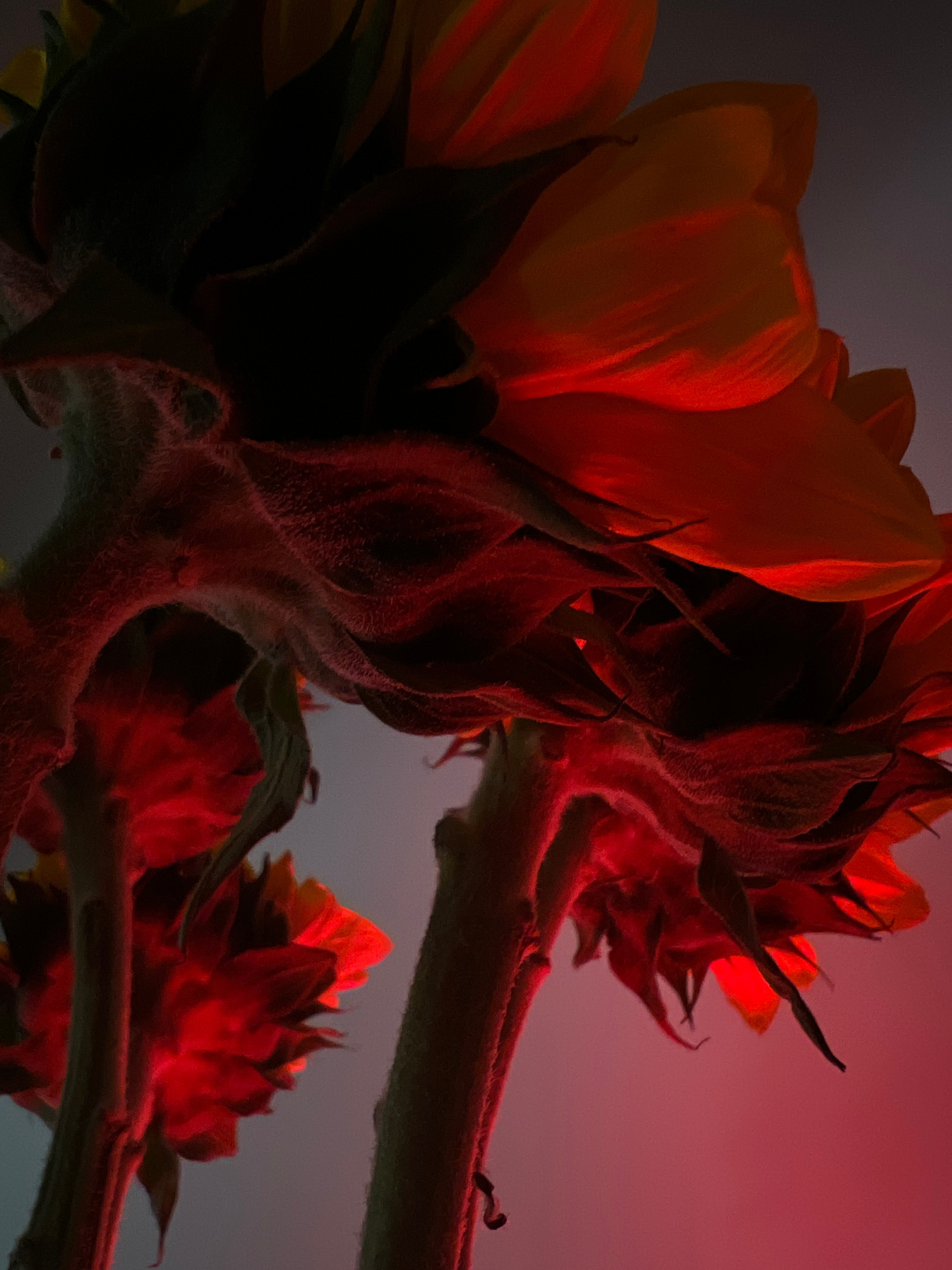 Fragments. Artem Khusainov