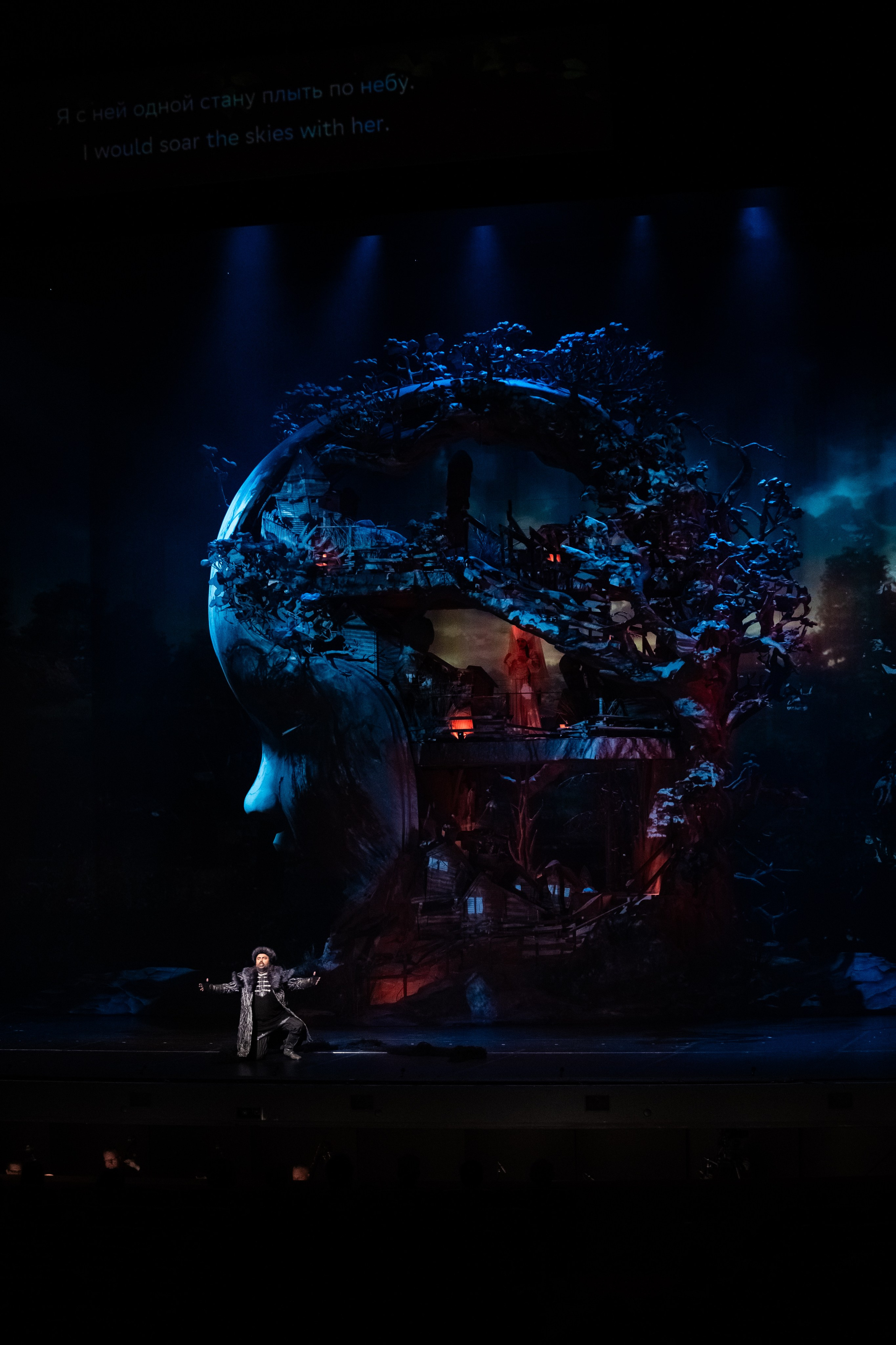 Мандрагора. Фотограф и видеограф Евгений Романов Санкт-Петербург