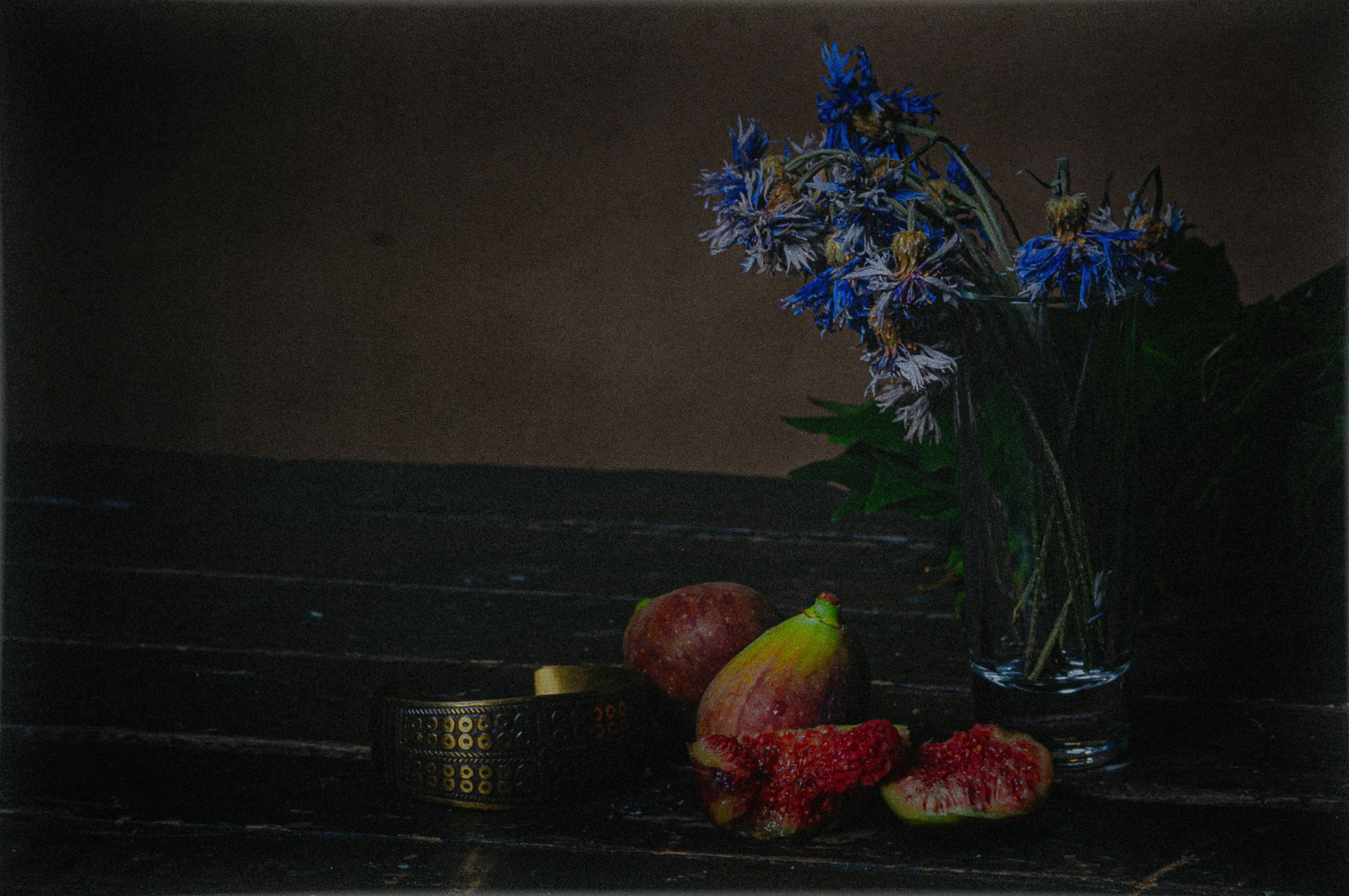 Натюрморт. RawCat. Портретная фотография Екатеринбург