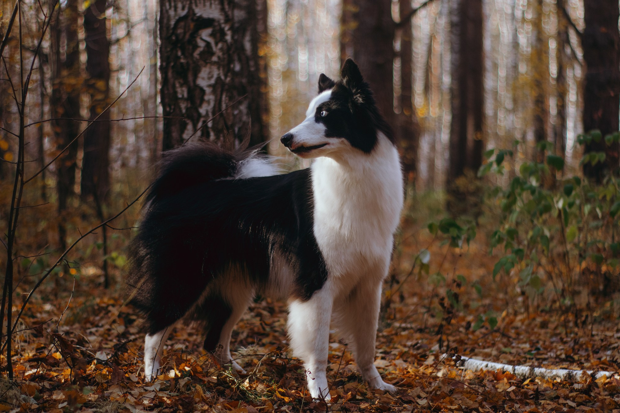 Ликёр. Фотограф в Тюмени Лизавета Сапицкая