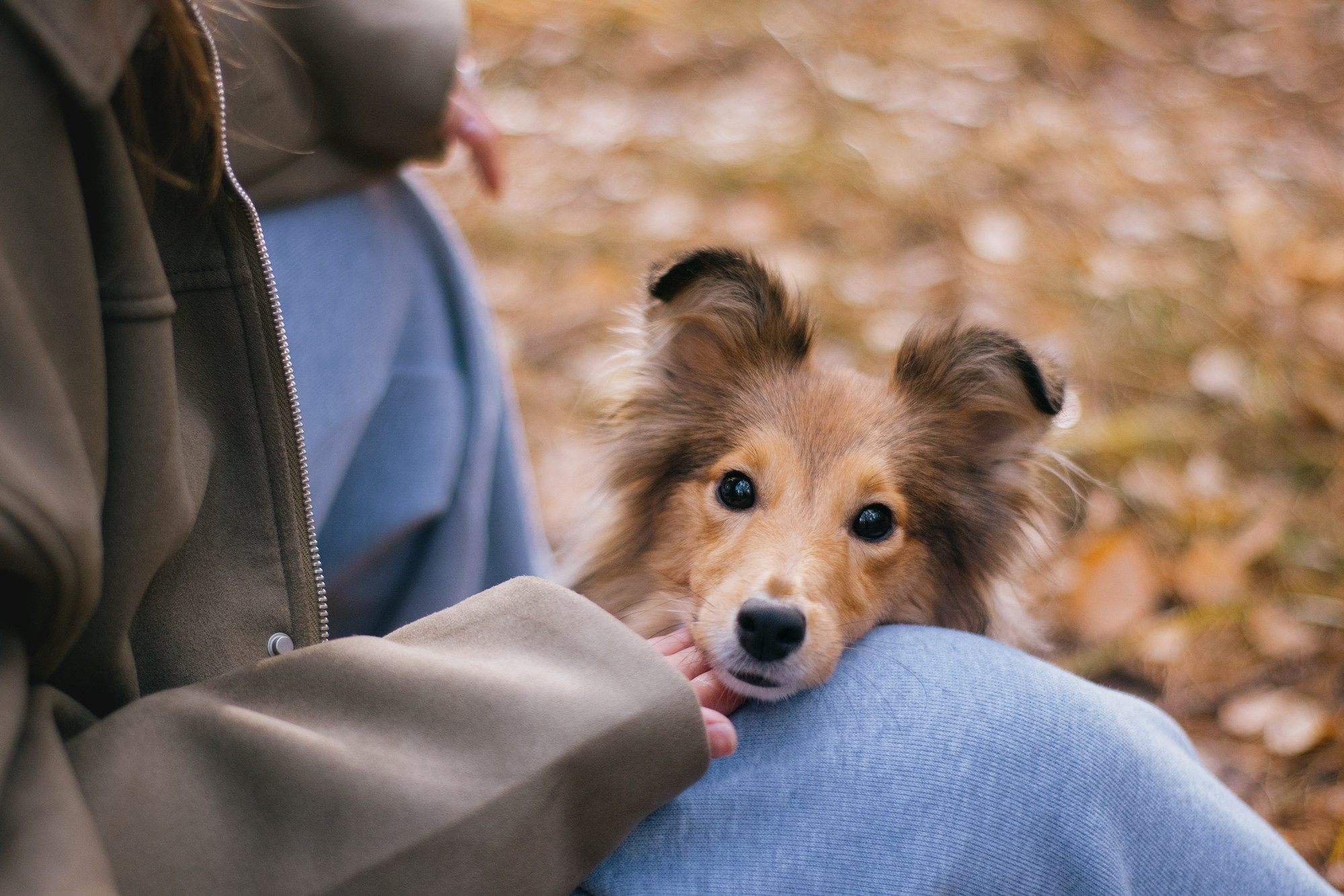 Анна и Габи. Фотограф в Тюмени Лизавета Сапицкая