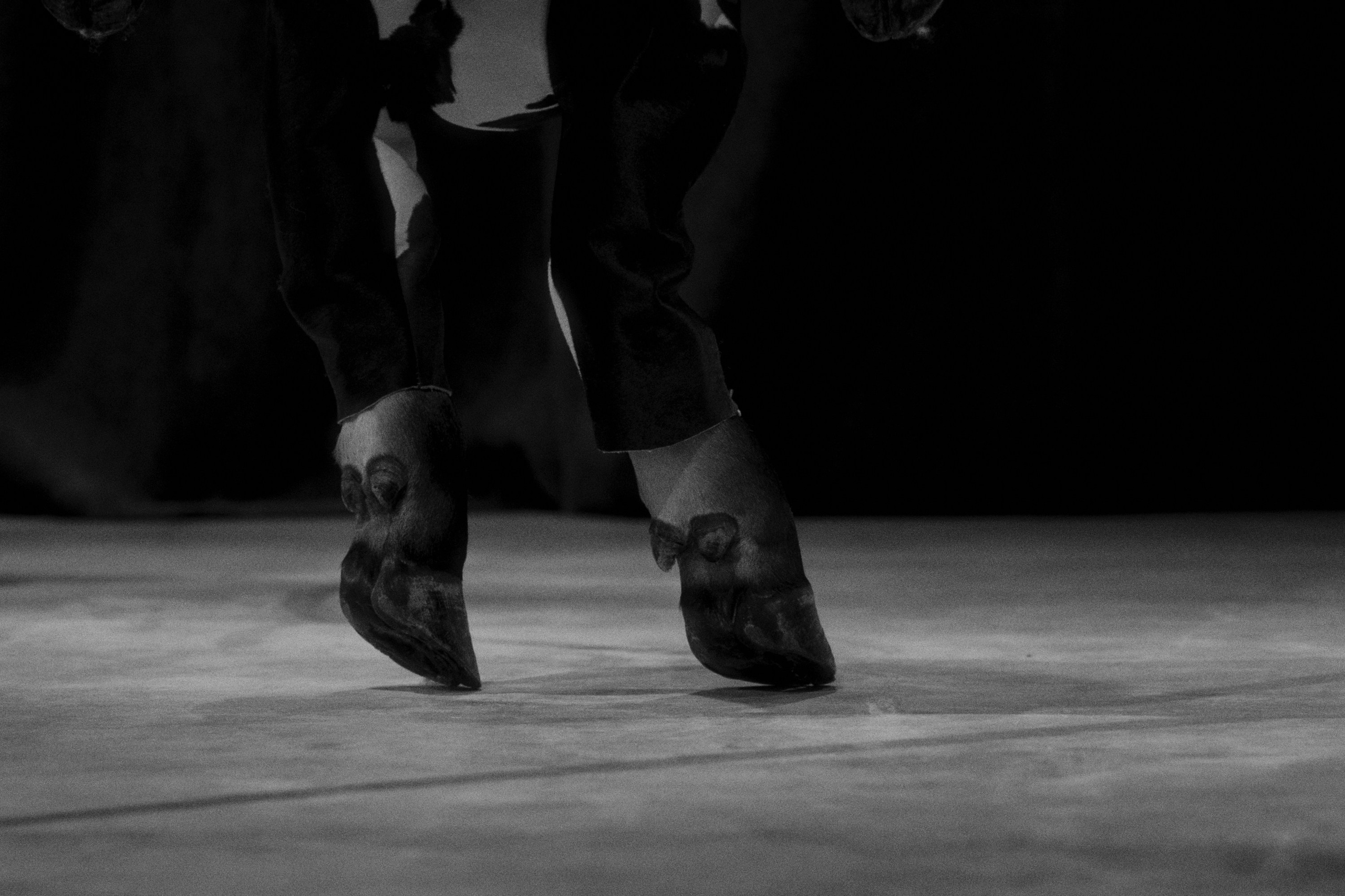 Garage MCA / “Грядущий мир: экология как новая политика. 2030–2100”. Фотограф Юрин Евгений