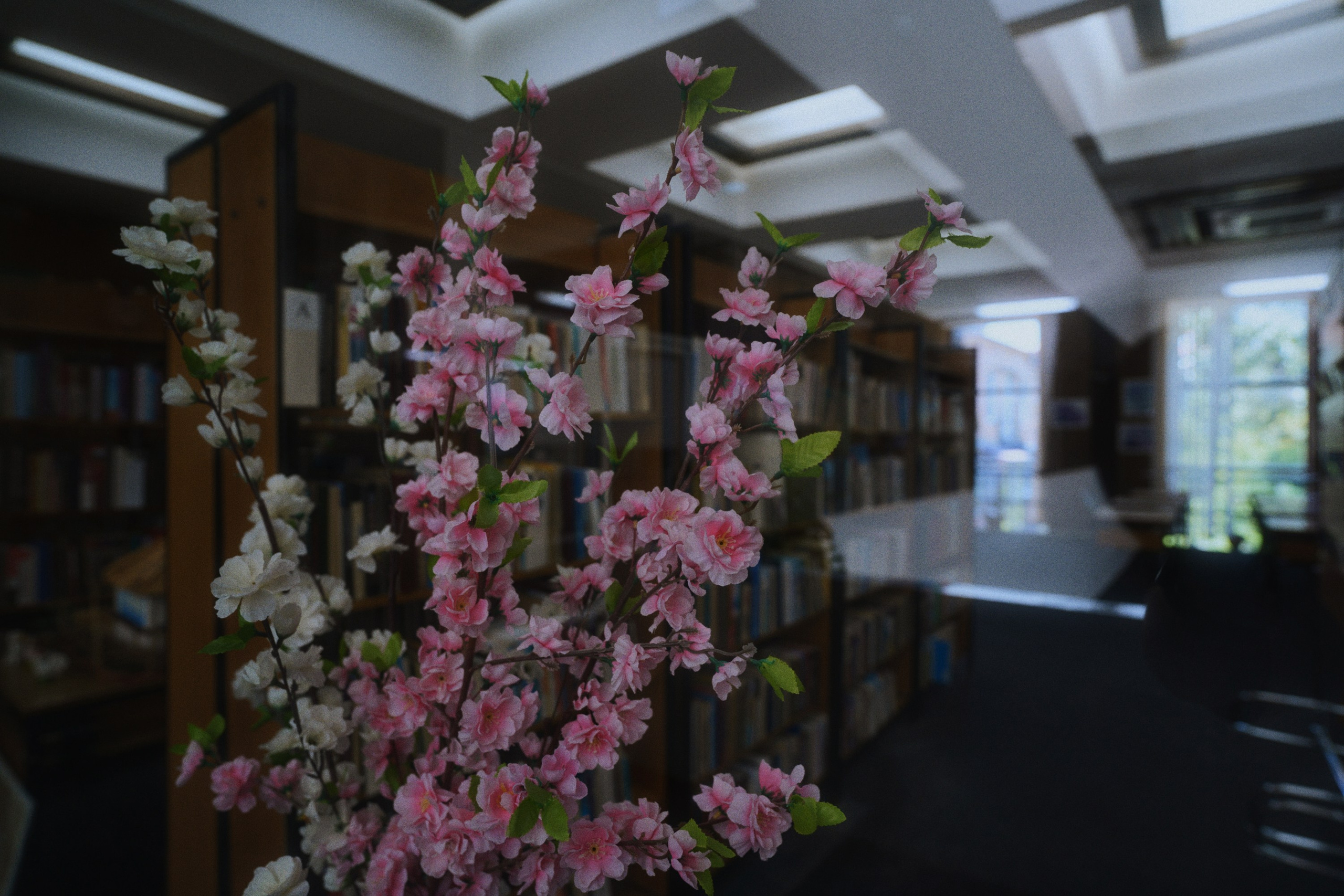 DSPL. Фотограф Юрин Евгений