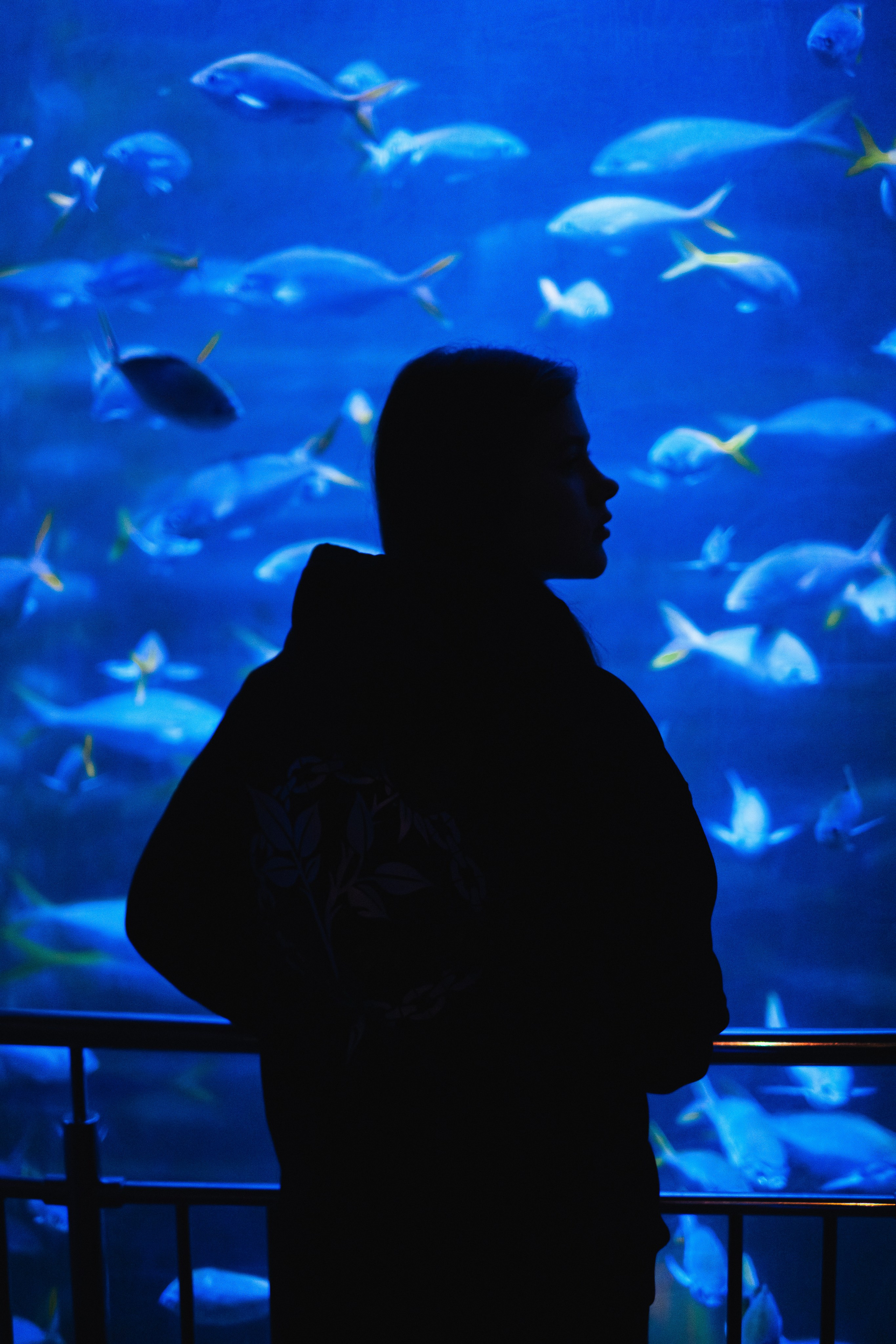 Океанариум. Фотограф Благовещенска Яна