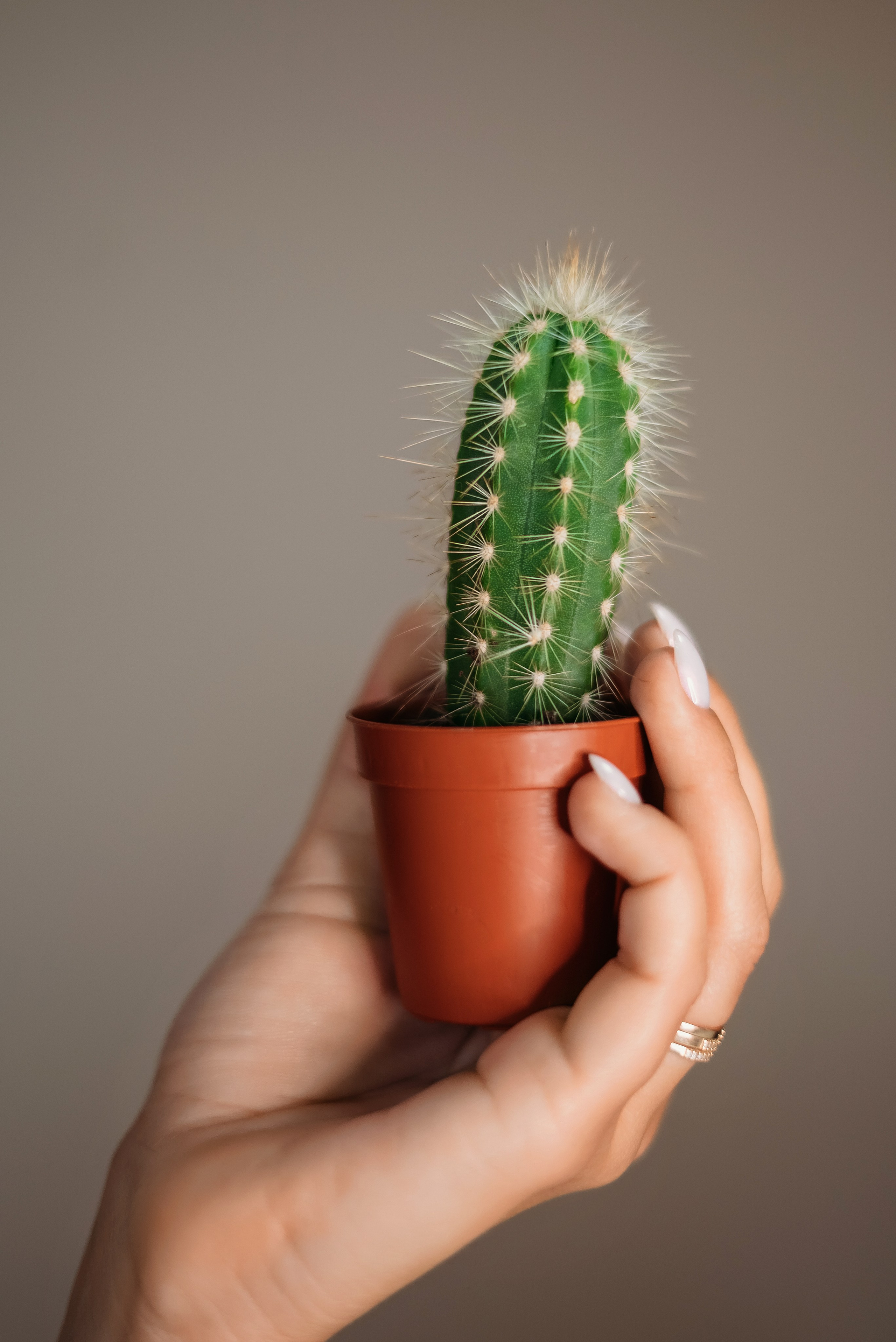 Контент съемка2. Фотограф в Гродно Ольга Лукуть