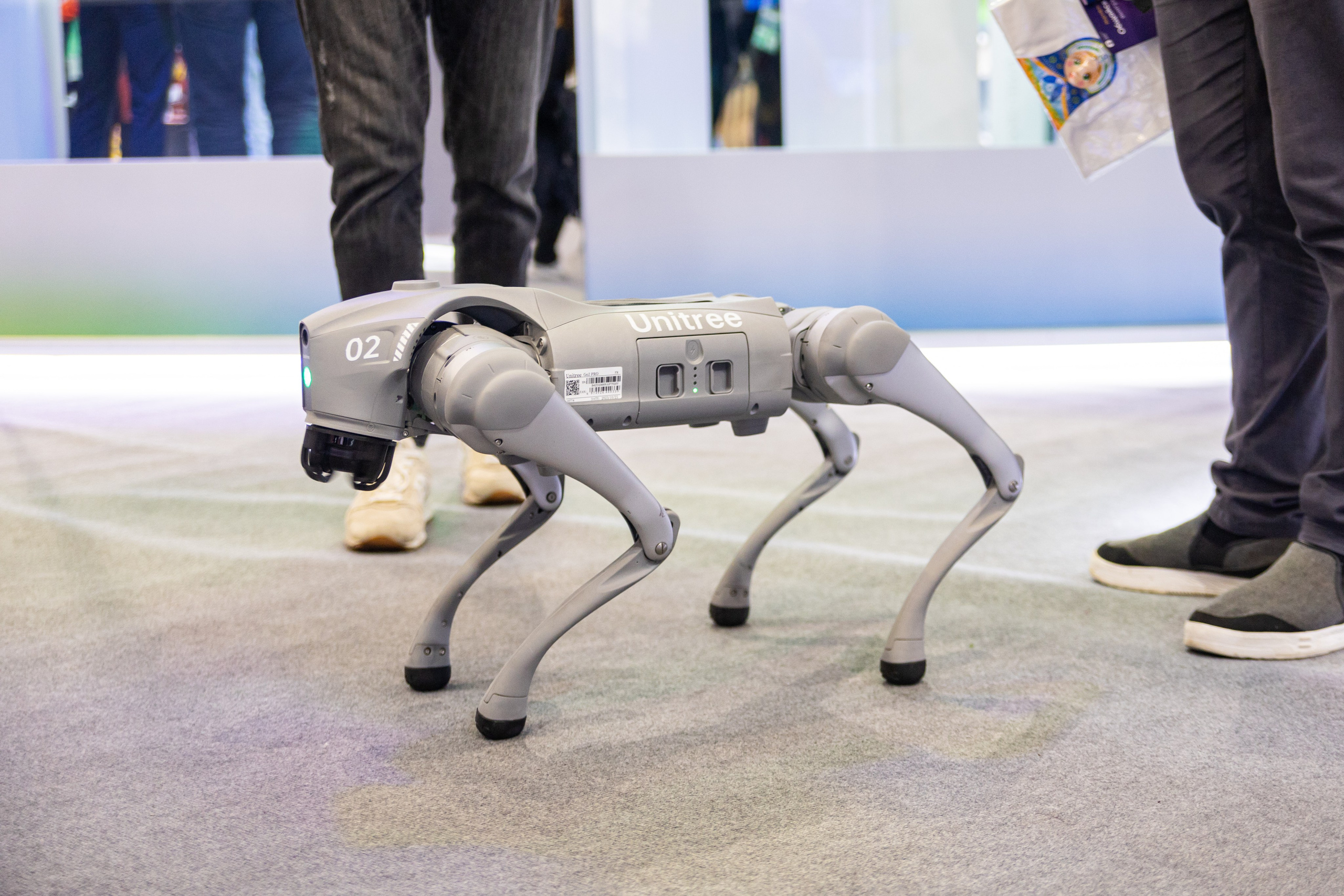 ВФМ. Репортажный и студийный фотограф во Владивостоке Дударева Софья