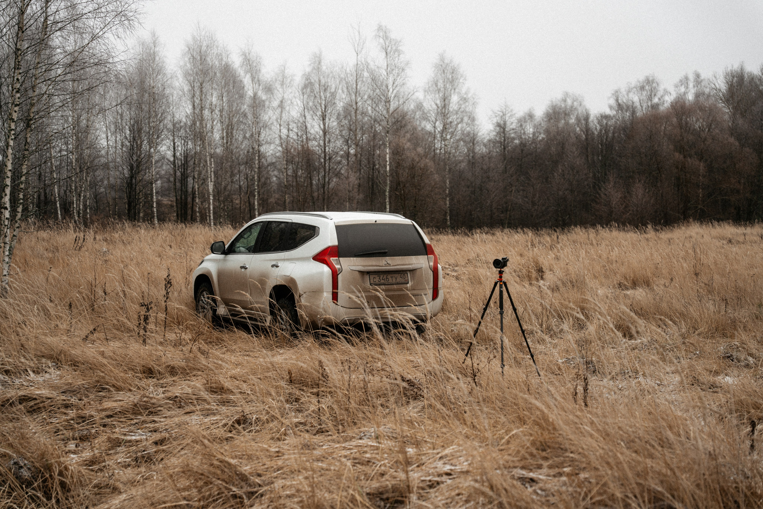 Прогулка по оврагу близ реки. Vlad Trykov