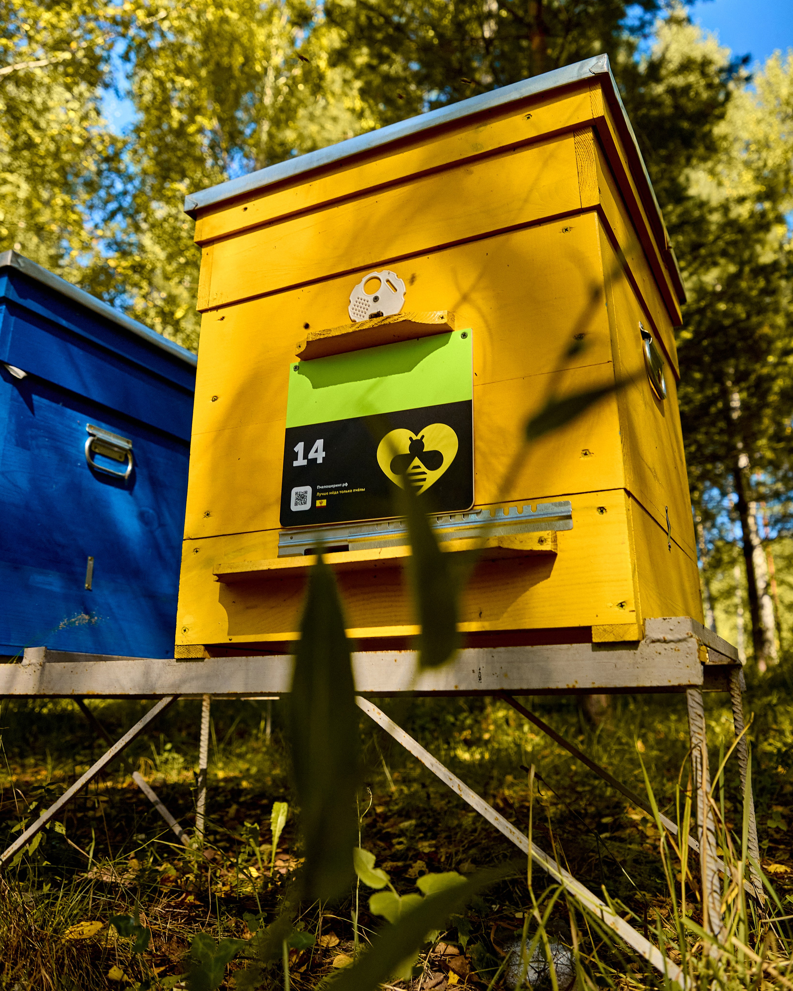 Пчелошеринг х пасека в г. Чебоксары. Святослав Лебедев | Рекламный фотограф — Коммерческая съемка, Арт-дирекшн, AI-интеграция