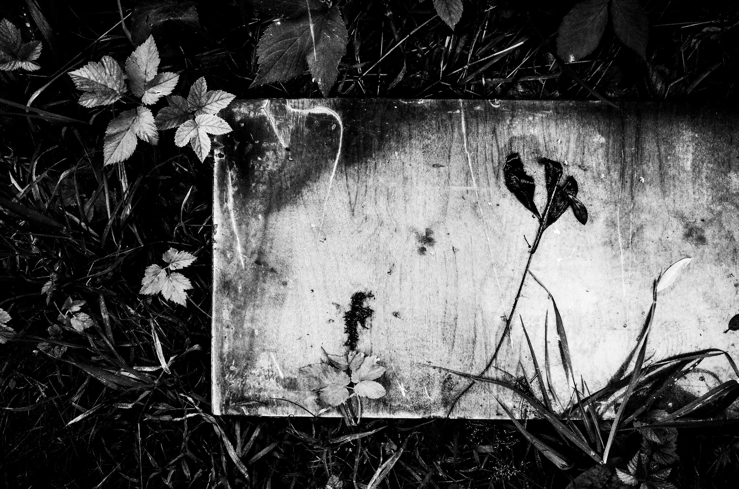 Самые черные фотографии. Артём Линейцев, фотограф