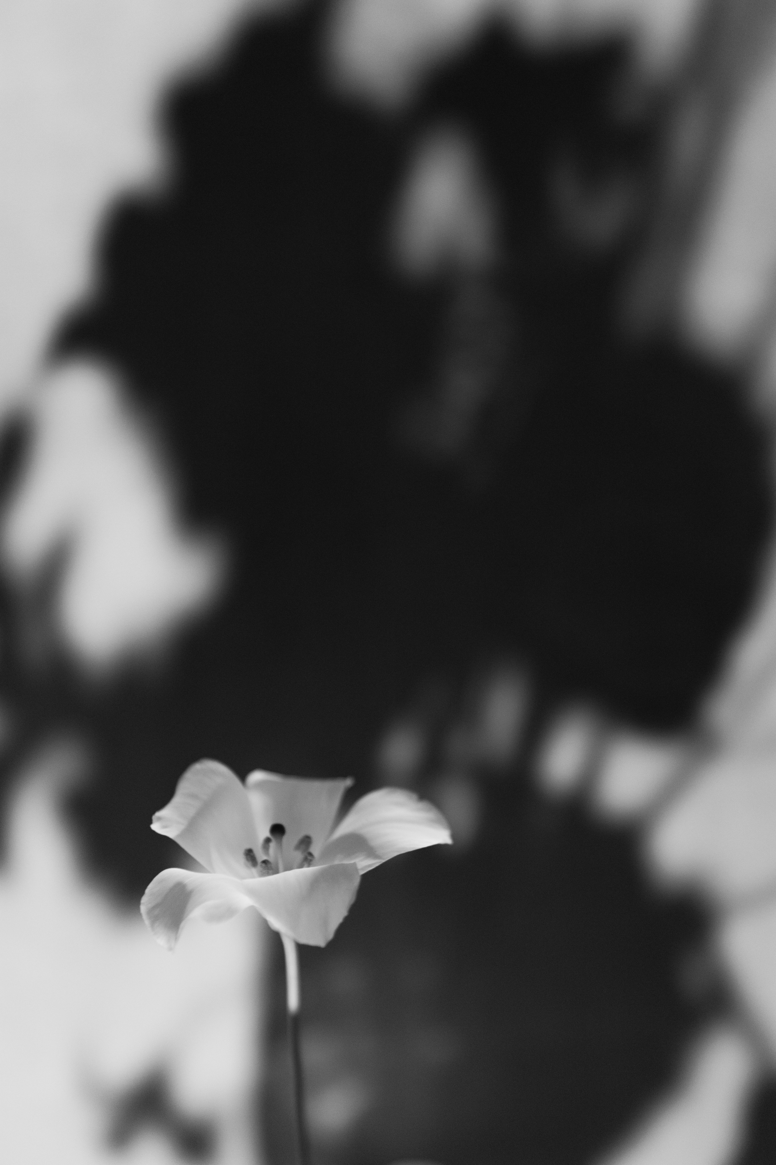 Backstage for Global Wedding. Свадебный фотограф в Санкт-Петербурге и Москве Андрей Чернов