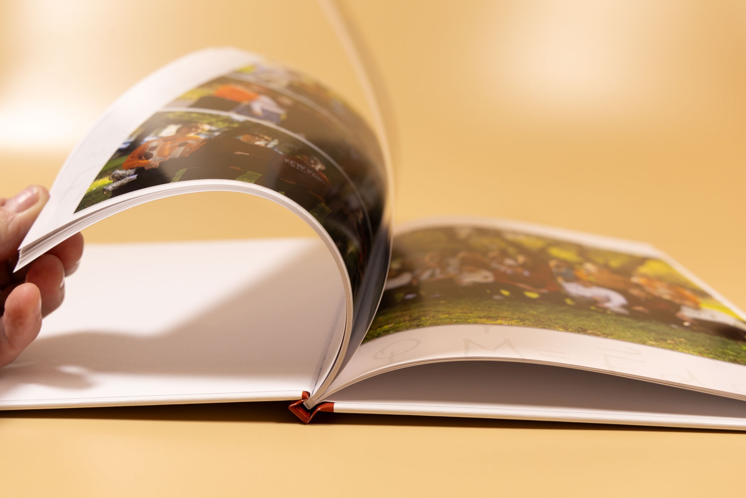 Выпускной альбом «Модерн-2»