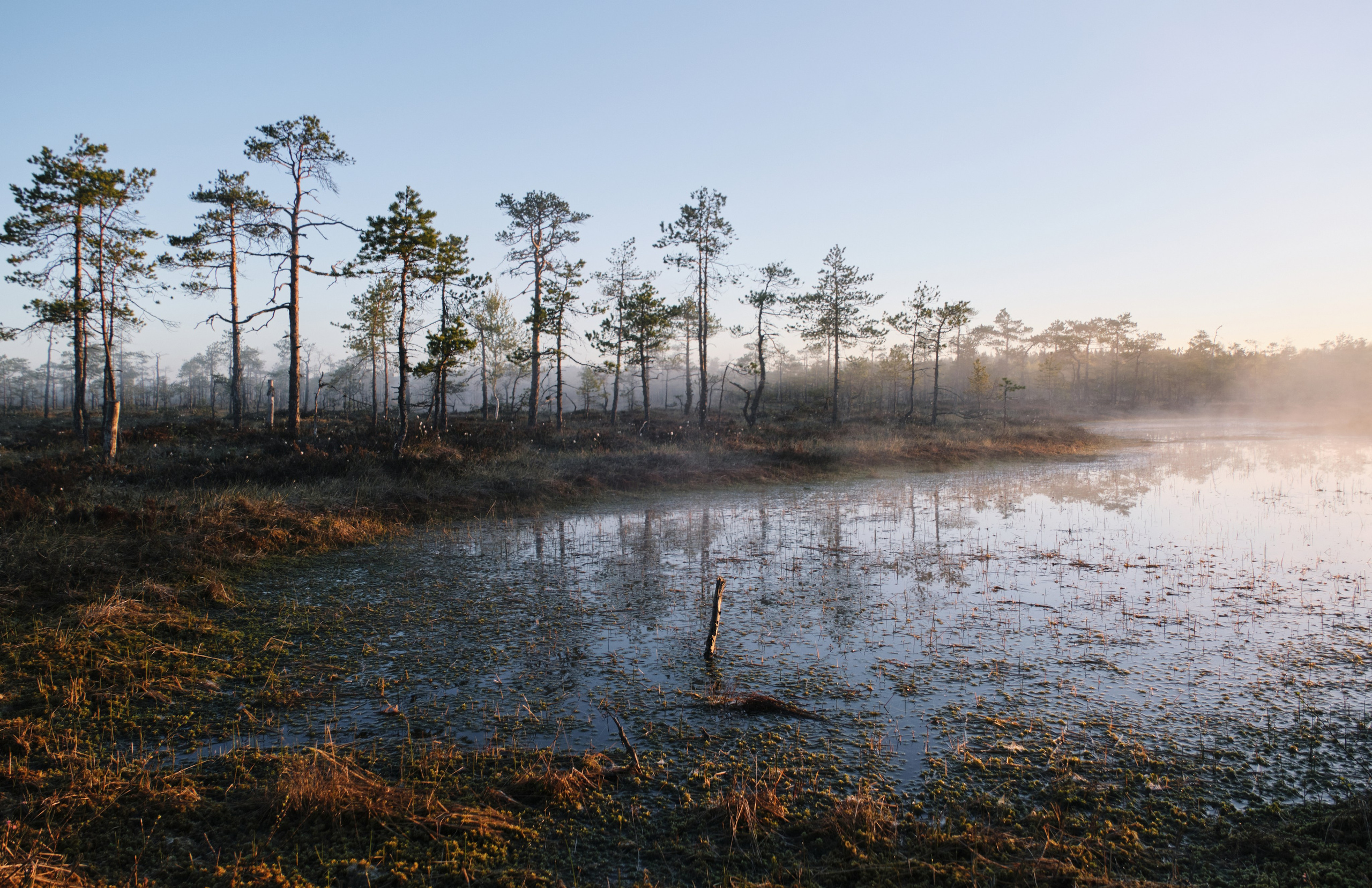 Северные дневники. Алиса Северная. Визуальные исследования. Пейзажная и документальная фотография