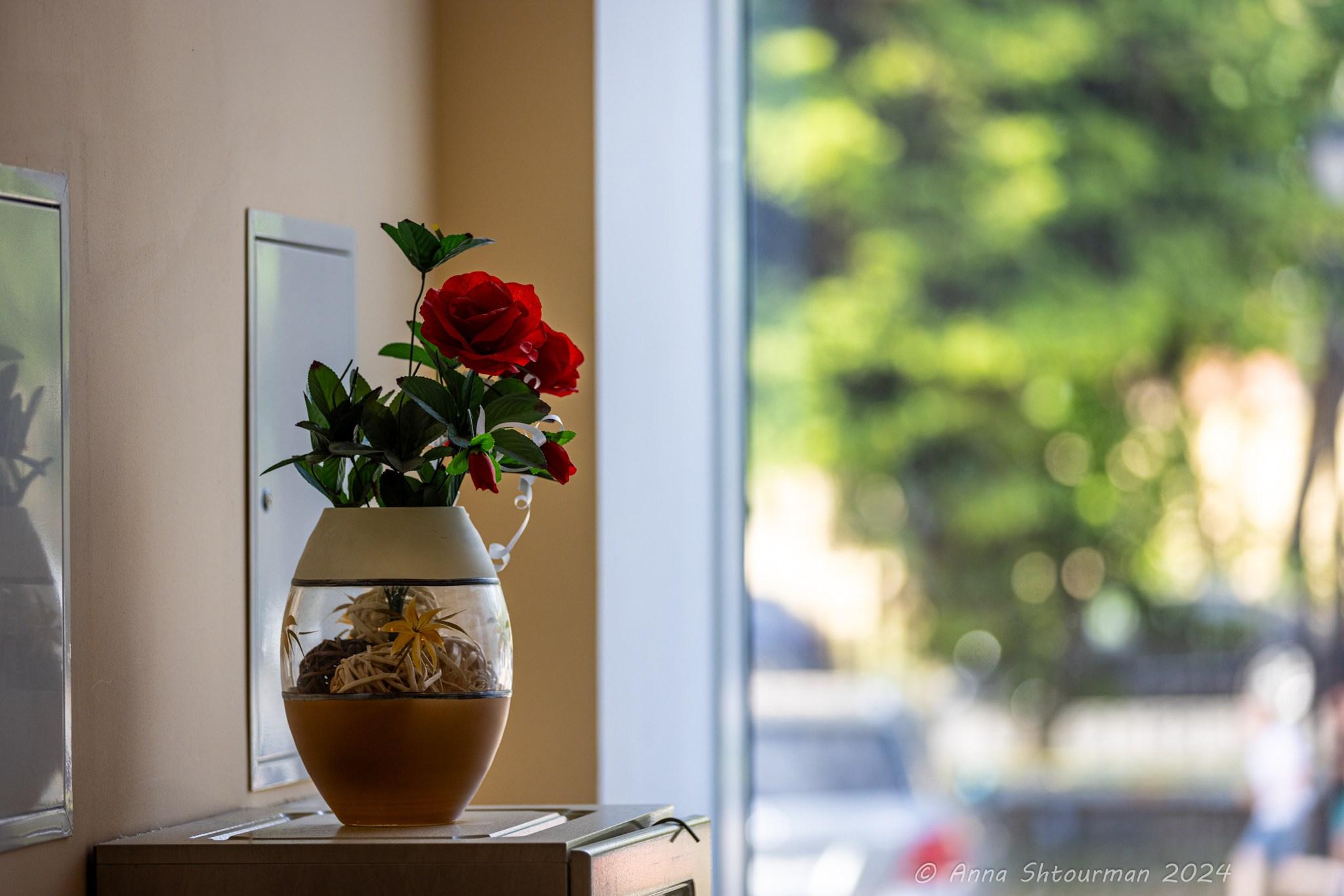 2024 Первенство России по шахматам до 9 лет (Кострома, Россия). Фотограф Анна Штурман (репортажная съёмка любых событий и мероприятий) Anna Shtourman photographer