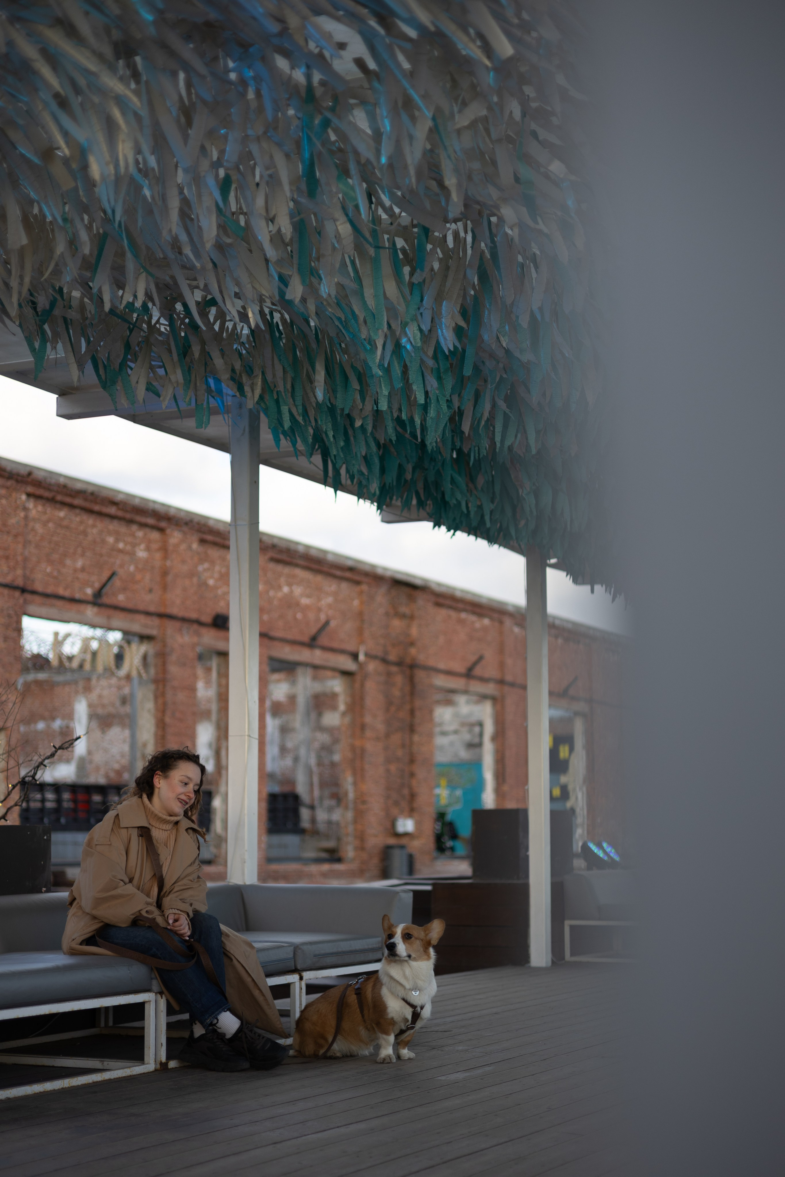 Александра и Мика. Фотограф животных Евгения Верцинская