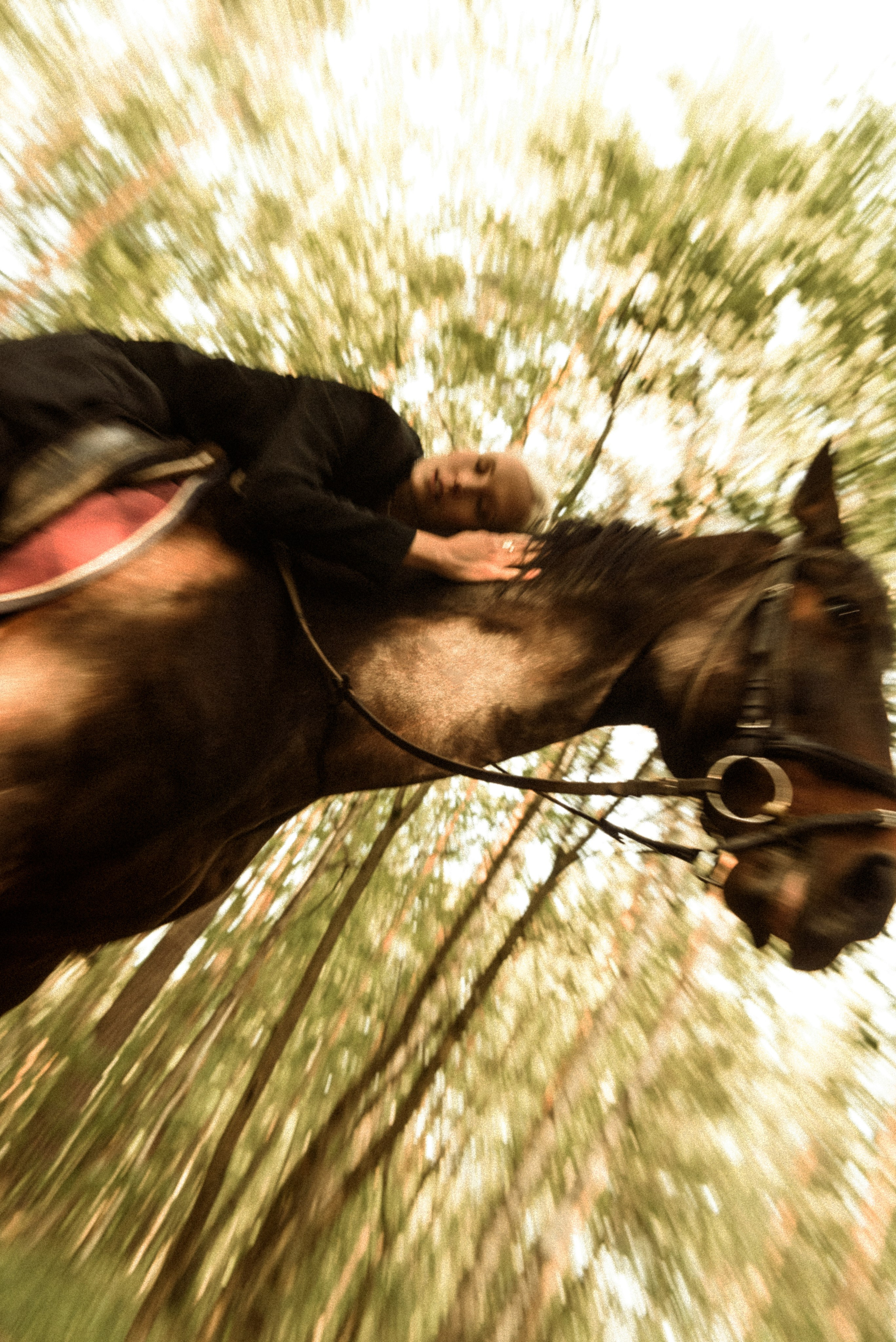 Алиса. Свадебный фотограф в Санкт-Петербурге София Шубик
