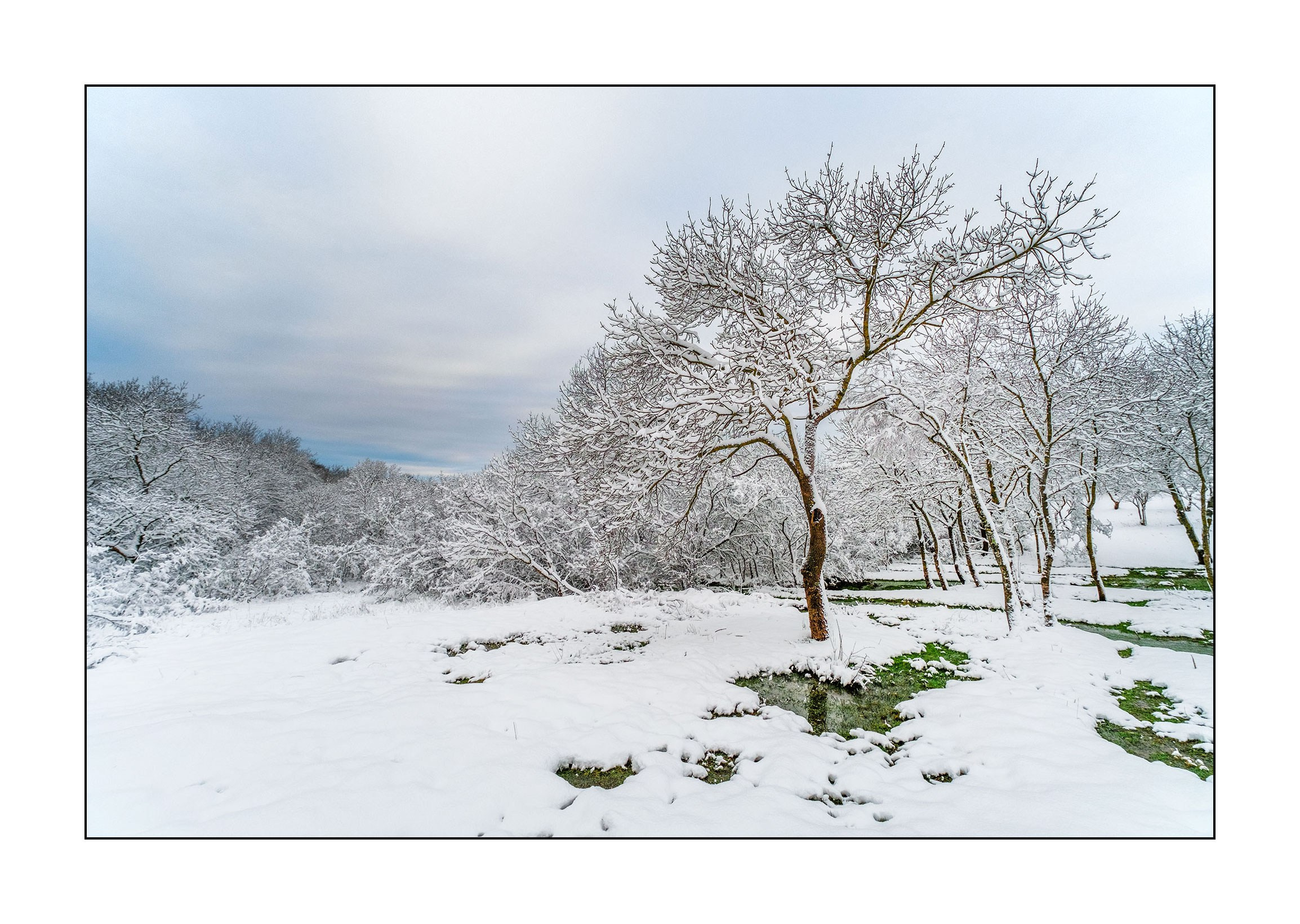 фотограф Геленджик