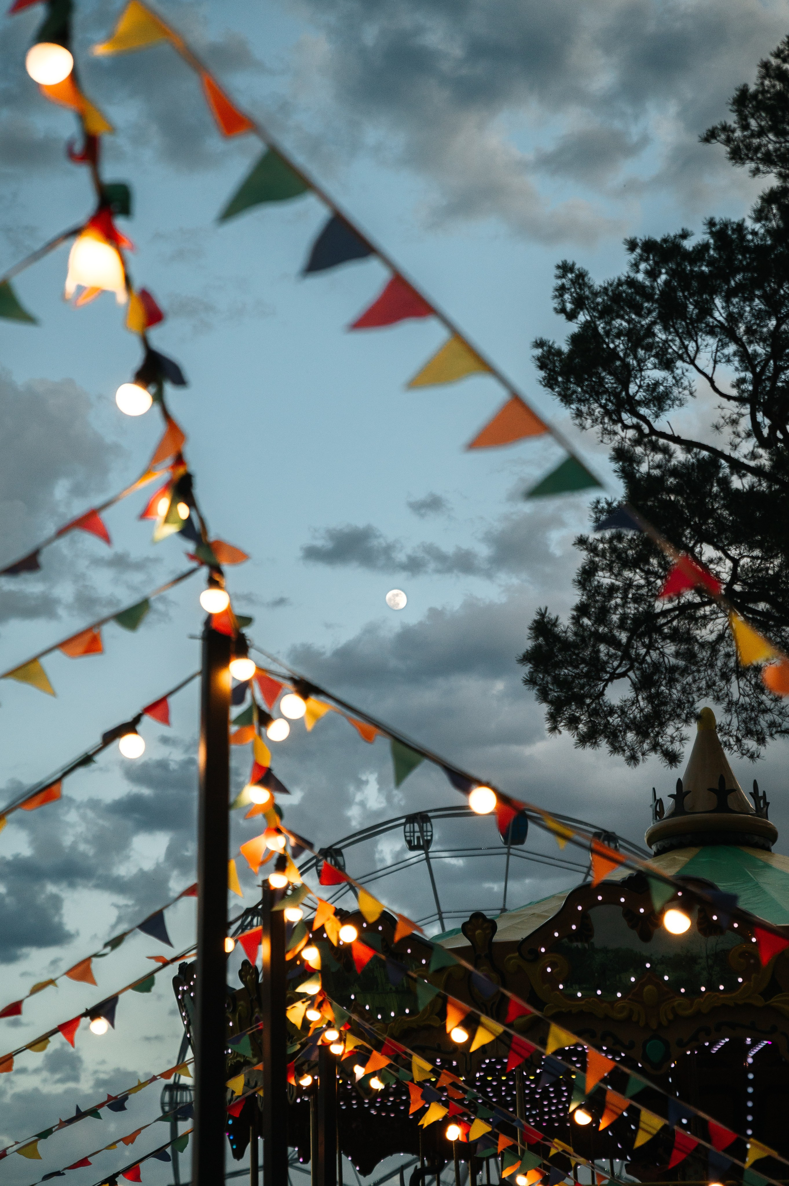 Прогулка в ЦПКиО. Свадебный и travel фотограф в Волгограде, Сочи, Домбае, Европе